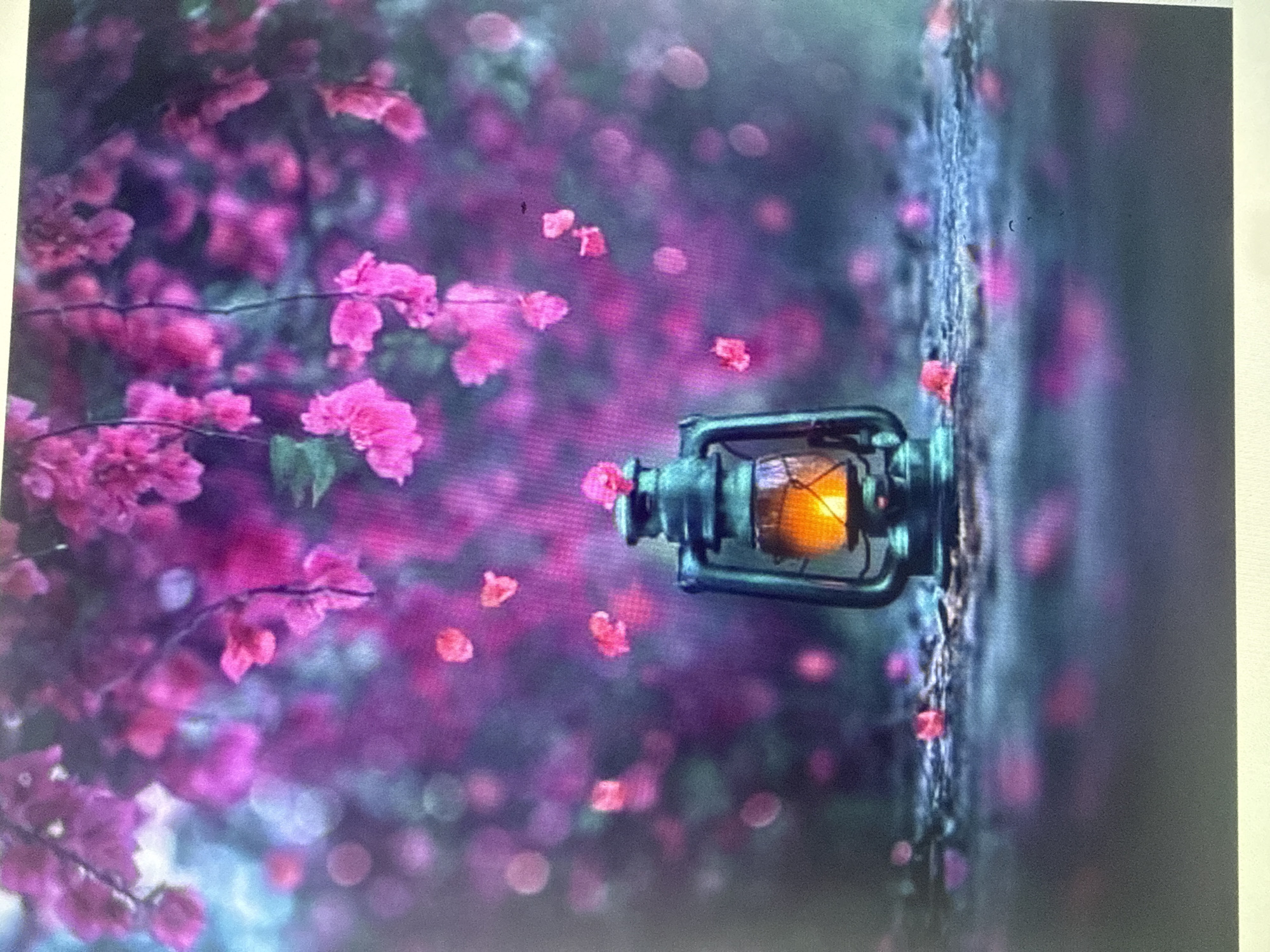 The image depicts a vintage kerosene lantern with a warm, glowing flame, placed on a rough, textured surface. The lantern is surrounded by fallen pink petals, and the background is a soft blur of pink and purple, suggesting a canopy of blooming flowers. The lighting is moody and atmospheric, with bokeh effects creating a dreamlike quality. The scene is set outdoors, possibly in a garden or natural setting, and there is no indication of any urban environment or specific location within Dykivka, Ukraine. There are no people or animals visible in the image, and no actions or interactions are occurring.