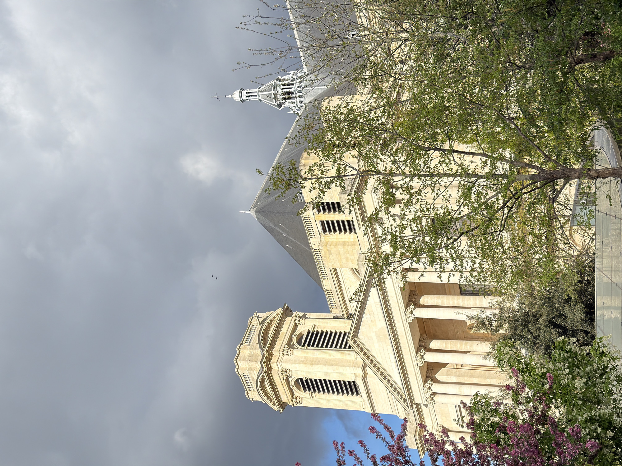 The image displays a detailed view of the Church of Saint-Étienne-du-Mont, situated on the Montagne Sainte-Geneviève in the 5th arrondissement of Paris, France. The structure's light-colored stone facade dominates the mid-ground, featuring a prominent, ornate bell tower on the left with arched, louvered openings. Below the tower, classical columns support an entablature. To the right, a dark, steeply pitched roof with a small, white-domed spire capped by a weather vane is visible. The foreground is densely populated with a variety of trees and bushes. On the far left, a flowering tree exhibits vibrant pink and purple blossoms. Other trees in the mid-foreground feature fresh light green spring foliage, some bearing white or light pink blossoms, partially obscuring the lower portions of the church. The sky above is predominantly overcast with dark grey clouds, particularly towards the upper right, while a section of clear blue sky is visible behind the bell tower on the left. Two small, dark birds are captured in flight against the cloudy backdrop in the upper-middle section of the frame. No human figures, specific actions, or additional significant man-made objects are present.