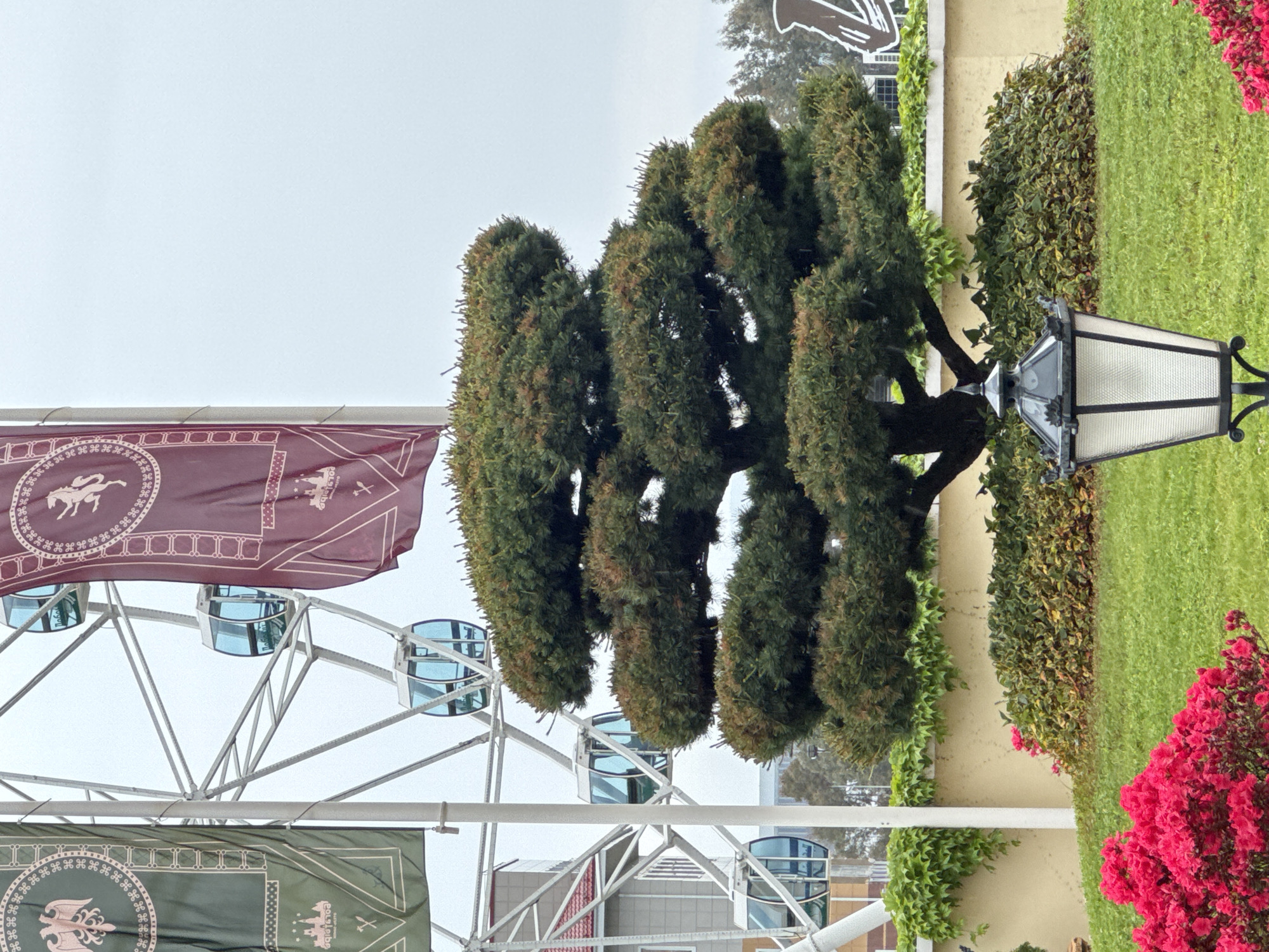 The image shows a Ferris wheel with burgundy and green flags in Sirius, Russia. The location is a park or garden with a trimmed tree, lawn, flowering bushes, and a vintage street lamp. The sky is overcast.