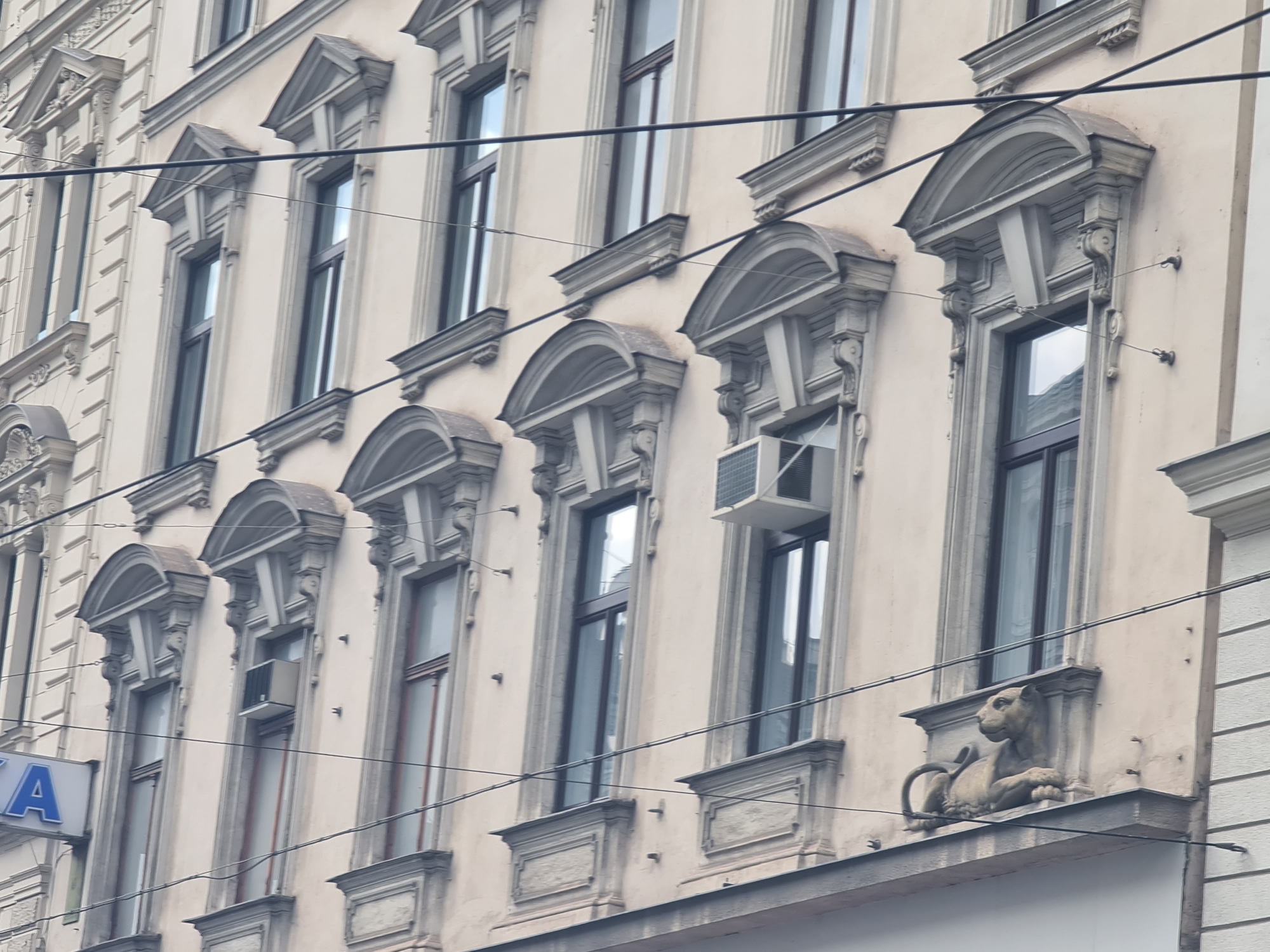 The image shows a close-up, eye-level view of the facade of an old, ornate building in Vienna, Austria. The building is constructed of light-colored stone with detailed architectural elements such as decorative carvings around windows and cornices. Multiple windows are visible, some with dark frames and glass reflecting the sky. One window has an air conditioning unit installed. A sculpture of a lion is prominently featured, seated on a ledge beneath a window. Power lines crisscross the facade in the foreground. The overall impression is one of historical European architecture.