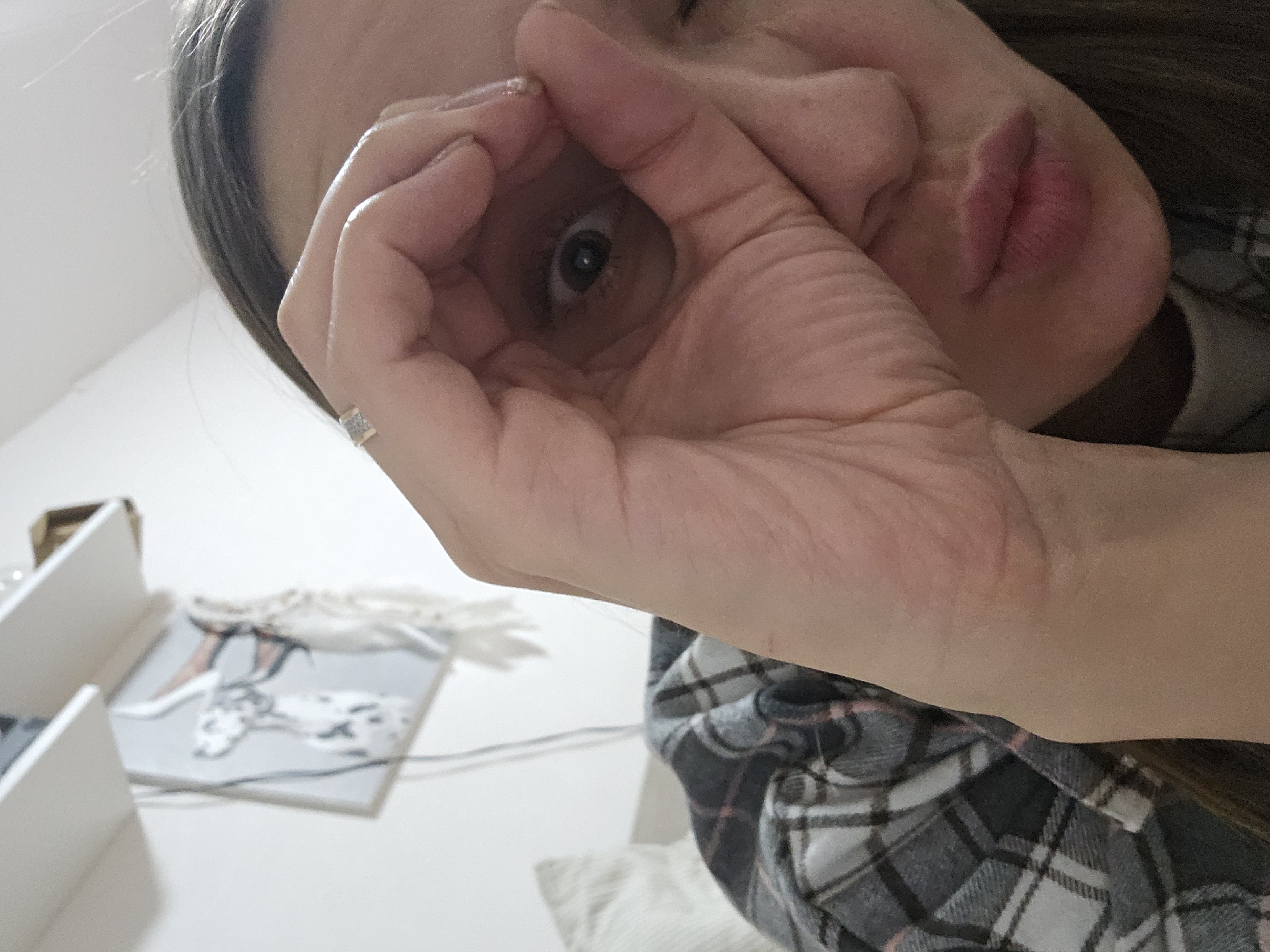 An eye-level, close-up shot captures a person, likely female, engaged in a playful interaction with the camera in an indoor setting in Chaikovsky, Russia. The subject's left hand is raised, forming an "OK" gesture with the thumb and forefinger, through which a single dark eye is visible, looking directly at the viewer. To the right, the person's lips are slightly puckered in a soft, playful expression. A ring with small, square-cut stones adorns the ring finger of the visible hand. Dark hair frames the side of the head, and the person is wearing a plaid shirt in shades of grey and black, with subtle lighter accents.
The background is softly lit and out of focus, revealing hints of a personal space. To the lower left, white storage units or drawers are partially visible. Further right, a framed picture or artwork rests on a surface, depicting a white dog with black spots, possibly a Dalmatian. Tangled white string or yarn and a dark cable are also present near the artwork. The lighting is bright and even, suggesting daytime or well-lit interiors. No visible text is present. The overall atmosphere conveyed is lighthearted and engaging.