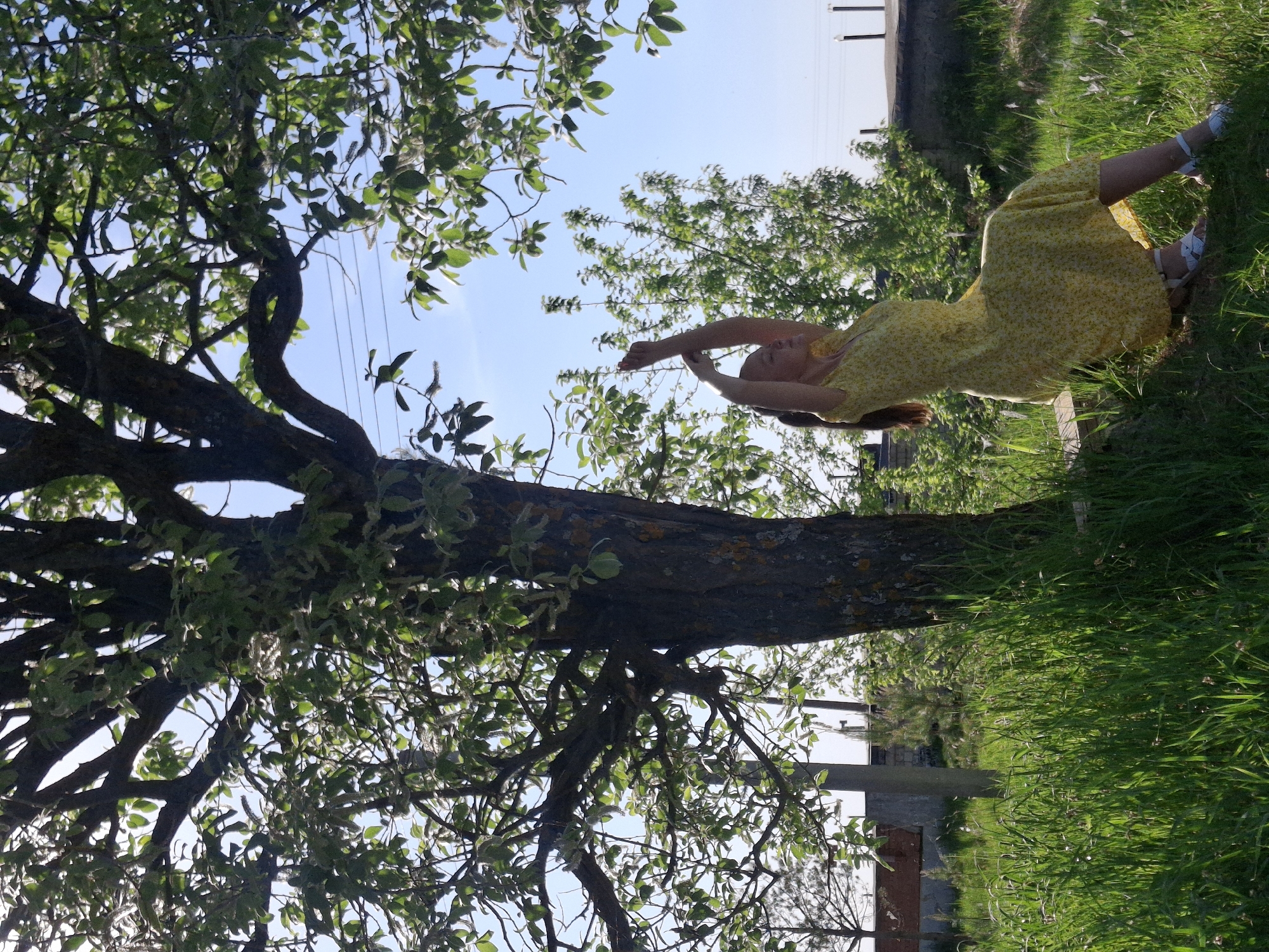 A full shot image depicts a woman reclining against a tree, under its branches. The woman, wearing a yellow patterned dress, extends her arms upwards. The location appears to be outdoors, with green grass surrounding the tree. Power lines are seen in the background behind the foliage of the tree. Based on image characteristics, the location is in Chaikovsky, Russia.