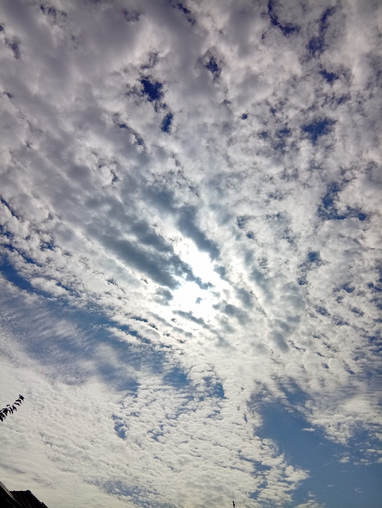 The image depicts a cloudy sky above Wilczyce, Poland. The sky is filled with a mix of white and gray clouds, with patches of blue sky visible. The sun is partially obscured by clouds, creating a bright, hazy light. In the lower left corner, a silhouetted tree branch hangs into the frame, and a dark rooftop is partially visible, suggesting an urban or suburban setting. The overall scene is natural and atmospheric.
