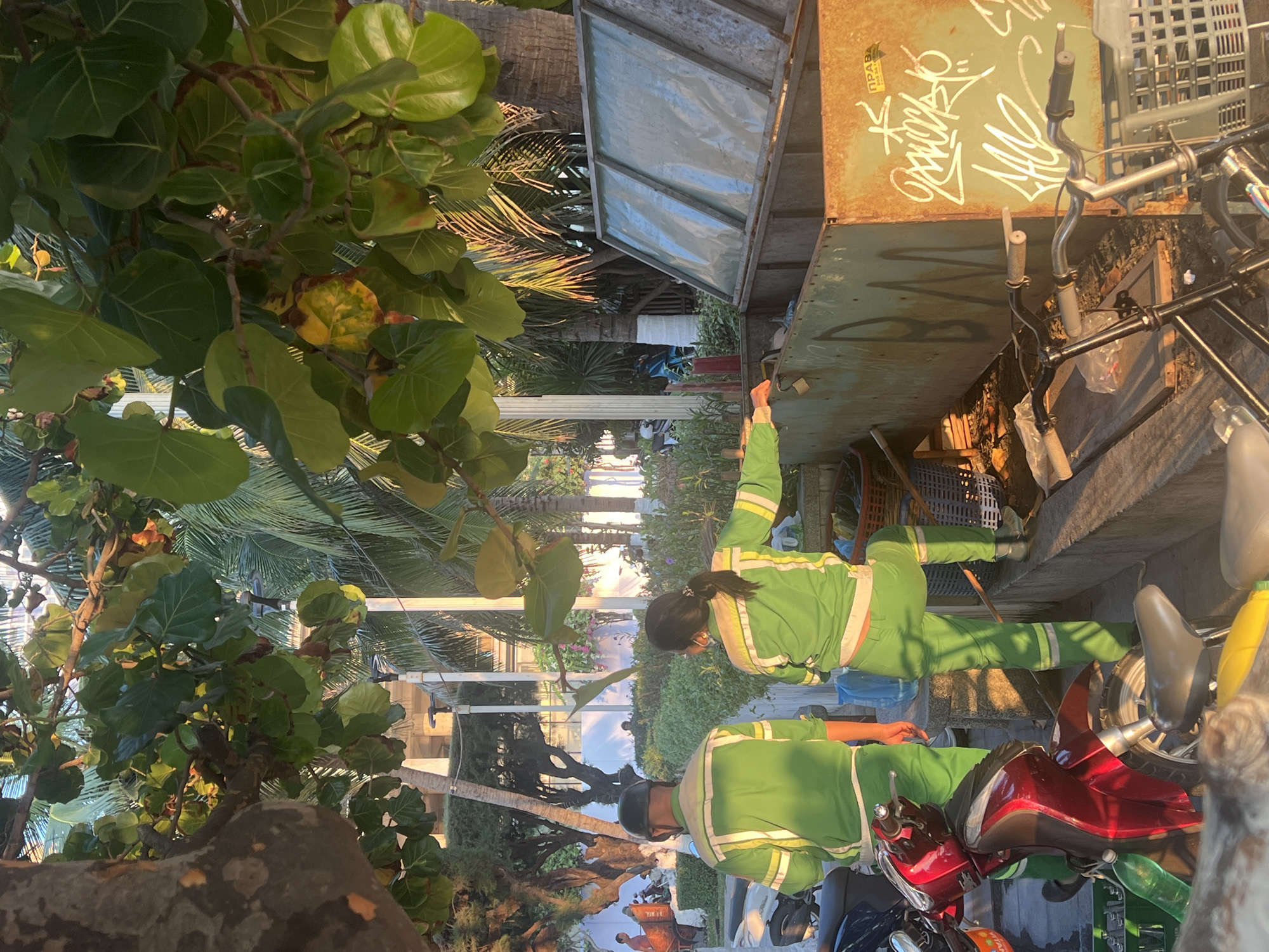 The image depicts an outdoor scene in Nha Trang, Vietnam, featuring two individuals in green uniforms, likely sanitation workers, engaged in their duties. The setting is characterized by lush tropical vegetation and structures in the background, illuminated by the warm, golden light of either early morning or late afternoon.
In the foreground and to the left, dense green foliage with large, rounded leaves, possibly sea grape, dominates the view, with palm fronds visible behind them. To the right, a large, rusty metal container or bin stands prominently. Its side is covered in white graffiti, and above it, visible Cyrillic text reads "ПРАВА" (PRAVA) and "BA3A10A."
One worker, wearing a green uniform with reflective strips and a dark ponytail, is seen actively reaching into the metal container, suggesting they are emptying or organizing its contents. Another worker, also in a green uniform and wearing a helmet, is positioned on a red scooter or motorcycle to the lower right. Parts of another dark-colored scooter and a bicycle are also visible nearby, along with a white plastic crate and various bottles.
The scene conveys a sense of routine municipal work in a warm, verdant environment. The sunlight casts distinct shadows and highlights, particularly on the foliage and the metal bin, enhancing the tropical atmosphere.