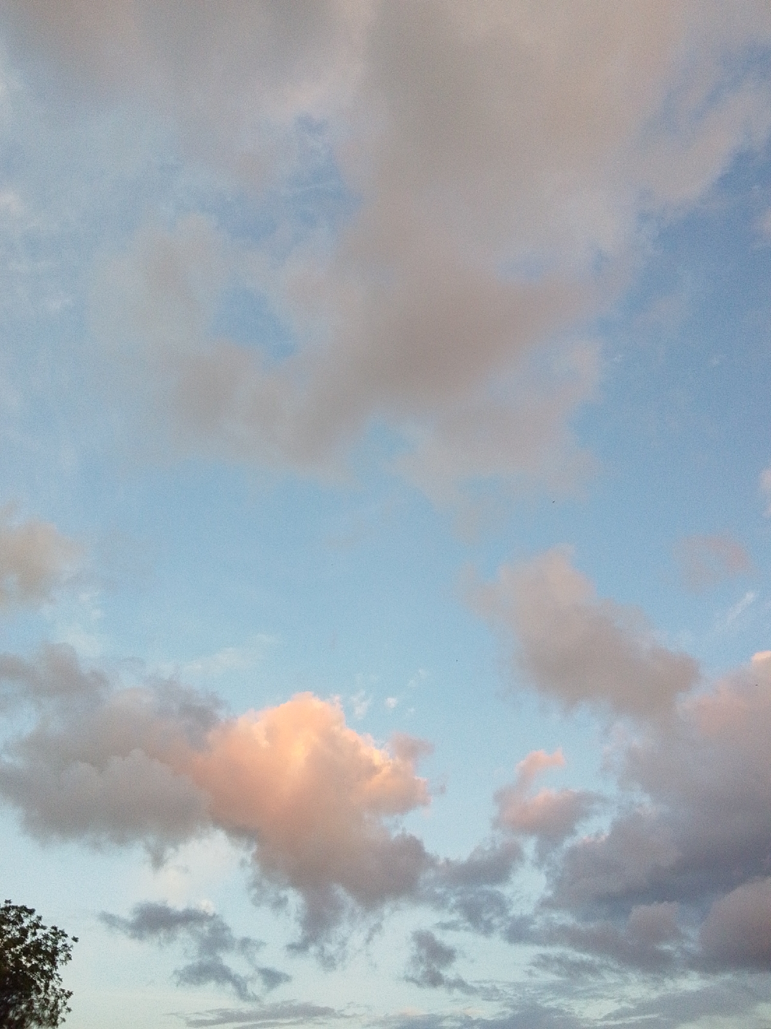 A photograph captures a sky filled with scattered clouds. The clouds are varied in color and density, ranging from pale pink and white to shades of grey and blue. The sky itself is a light blue, suggesting either early morning or late afternoon. In the lower left corner of the image, the dark silhouette of a tree is visible, its branches reaching upwards into the sky. There are no people, animals, or man-made structures clearly identifiable within the scene. The overall impression is one of a natural, serene sky.
