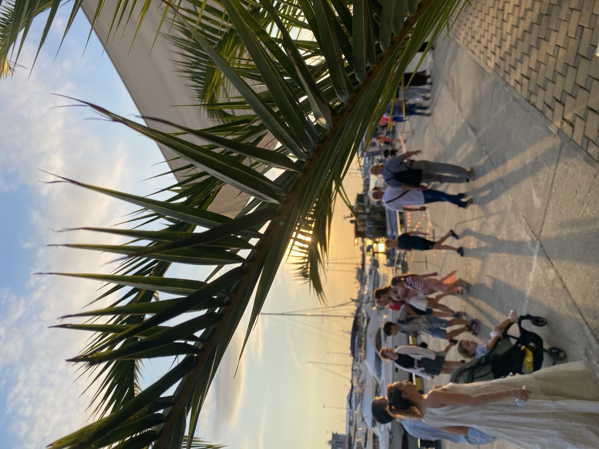 The image depicts a group of people strolling along a paved walkway next to a marina filled with yachts. The scene is set in Sochi, Russia, and the time of day appears to be late afternoon or early evening, indicated by the warm, golden light and long shadows cast by the people and palm fronds in the foreground. The sky is a clear blue with some wispy clouds, suggesting pleasant weather.
The foreground is dominated by the large, green leaves of a palm tree, which partially obscures the view of the marina and the people. The people are walking in various directions, some in small groups, others individually. They are casually dressed, suggesting a leisurely outing. One group includes a person pushing a stroller, and another individual is being pushed in the stroller. A woman in a light-colored dress is in the foreground, facing away from the camera.
The background reveals a line of moored yachts, their masts and superstructures visible against the sky. The walkway is paved with interlocking bricks, and a low barrier or railing is visible in some areas. The overall atmosphere appears relaxed and pleasant, indicative of a typical evening in a coastal resort town. There is no visible text in the image.
