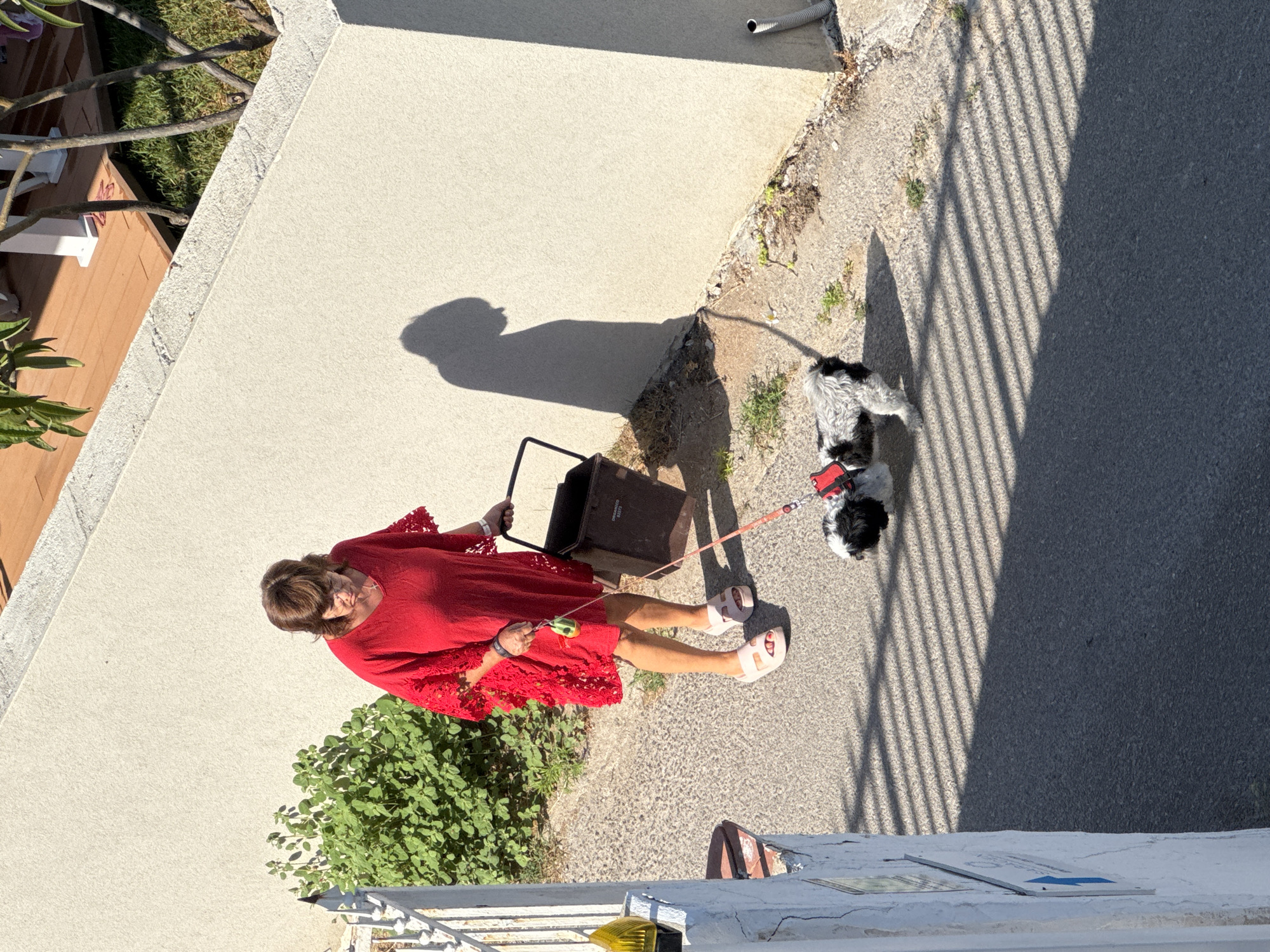 An overhead shot shows a woman in a red dress walking a small black and white dog on a leash. The woman is holding a dark-colored trash bin by its handle in her left hand. She is wearing light-colored sandals. The dog is wearing a red harness. The scene takes place on a paved surface, likely a sidewalk or street, with a textured wall to the right and a white railing and green foliage to the left. Sunlight casts long shadows on the ground. The environment suggests an outdoor setting in a residential or public area. The image was taken in Capaci, Italy.