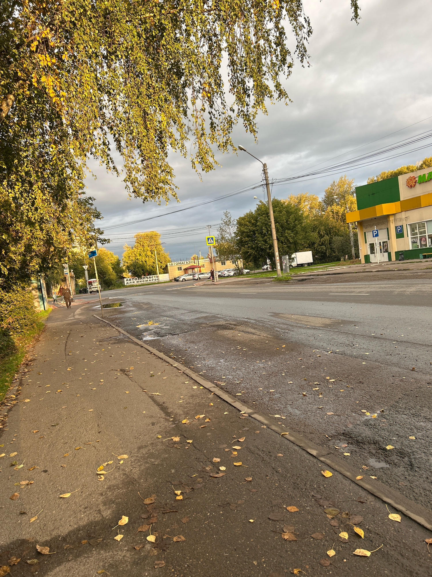 The image depicts an outdoor scene on a street in Tomsk, Russia, likely in the autumn. The time of day appears to be late afternoon, given the warm, low-angled sunlight illuminating the scene. The weather is overcast, with dramatic clouds dominating the sky, suggesting a recent or impending rain shower, which is further evidenced by puddles on the road.
The foreground shows a sidewalk with scattered fallen yellow and brown leaves, indicating the autumn season. A person is walking away from the camera on the sidewalk, their back to the viewer, dressed in a brown jacket and carrying a bag. Further down the sidewalk, a few other figures are visible in the distance.
The street itself is wet and has several puddles. On the right side of the road, there is a building with a green and yellow facade, likely a store or commercial establishment. The text "АВТОМАГАЗИН" and "АВТОЗАПЧАСТИ ДЛЯ ИНОМАРОК" is visible on signs, identifying it as a car parts store for foreign cars. A yellow pedestrian crossing sign is prominent on the street. Trees with autumn foliage line the street and the area behind the building, some of which are brightly lit by the sun. Power lines and a lamppost are also visible. The overall mood is somewhat subdued, reflecting the overcast weather and the shedding of leaves, but with an underlying warmth from the sunlight.