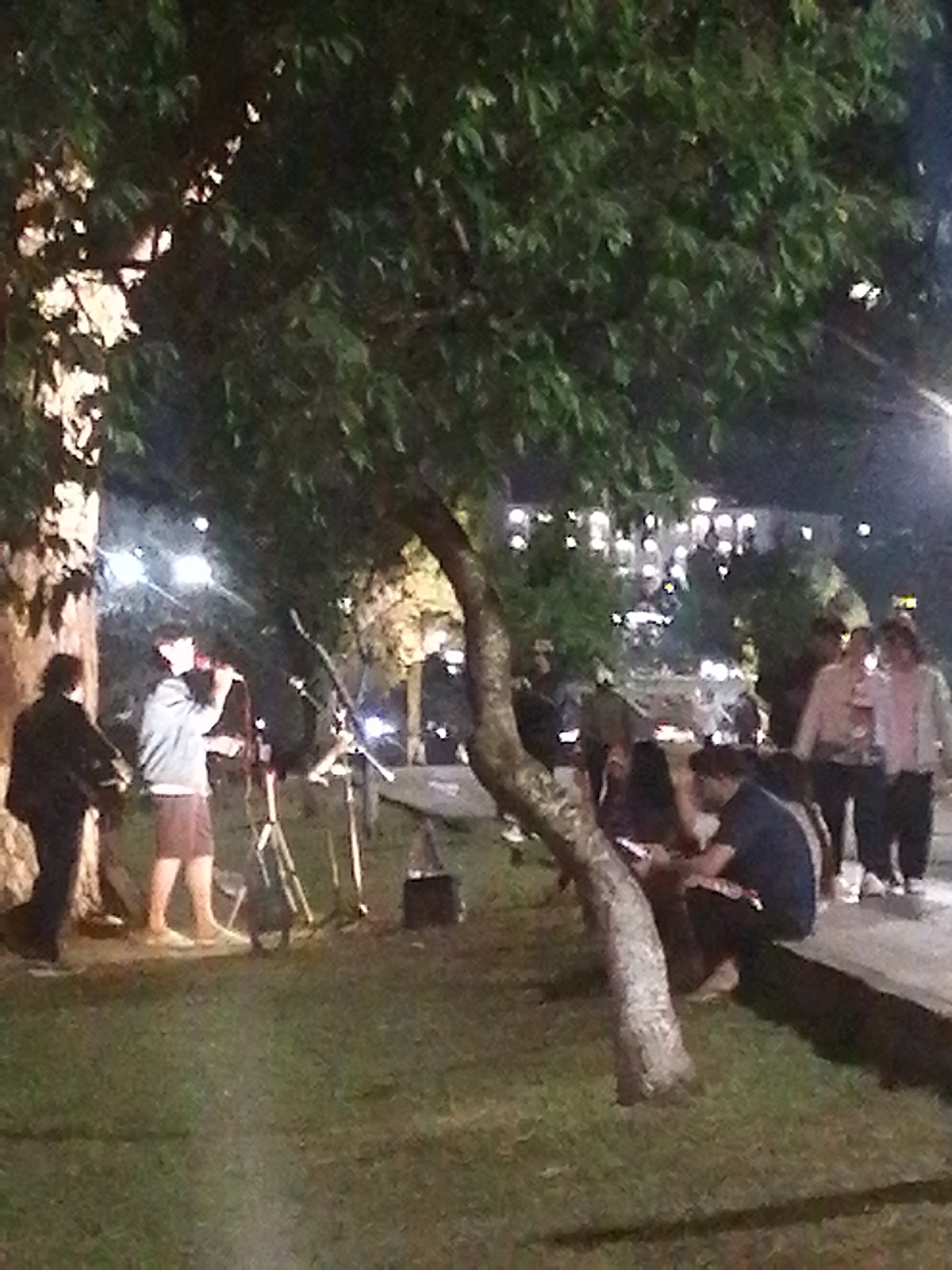 The image depicts an outdoor scene at night, possibly in Da Lat, Vietnam, due to the presence of French colonial-era architecture in the background. A tree dominates the foreground. To the left of the tree, a musical performance is occurring, with a man singing into a microphone, accompanied by another person possibly playing an instrument. Stage equipment like microphone stands and speakers are visible. A small crowd watches the performance. Some people are sitting on a low wall near the performance area. In the background are illuminated buildings. The environment appears to be a park or public space.