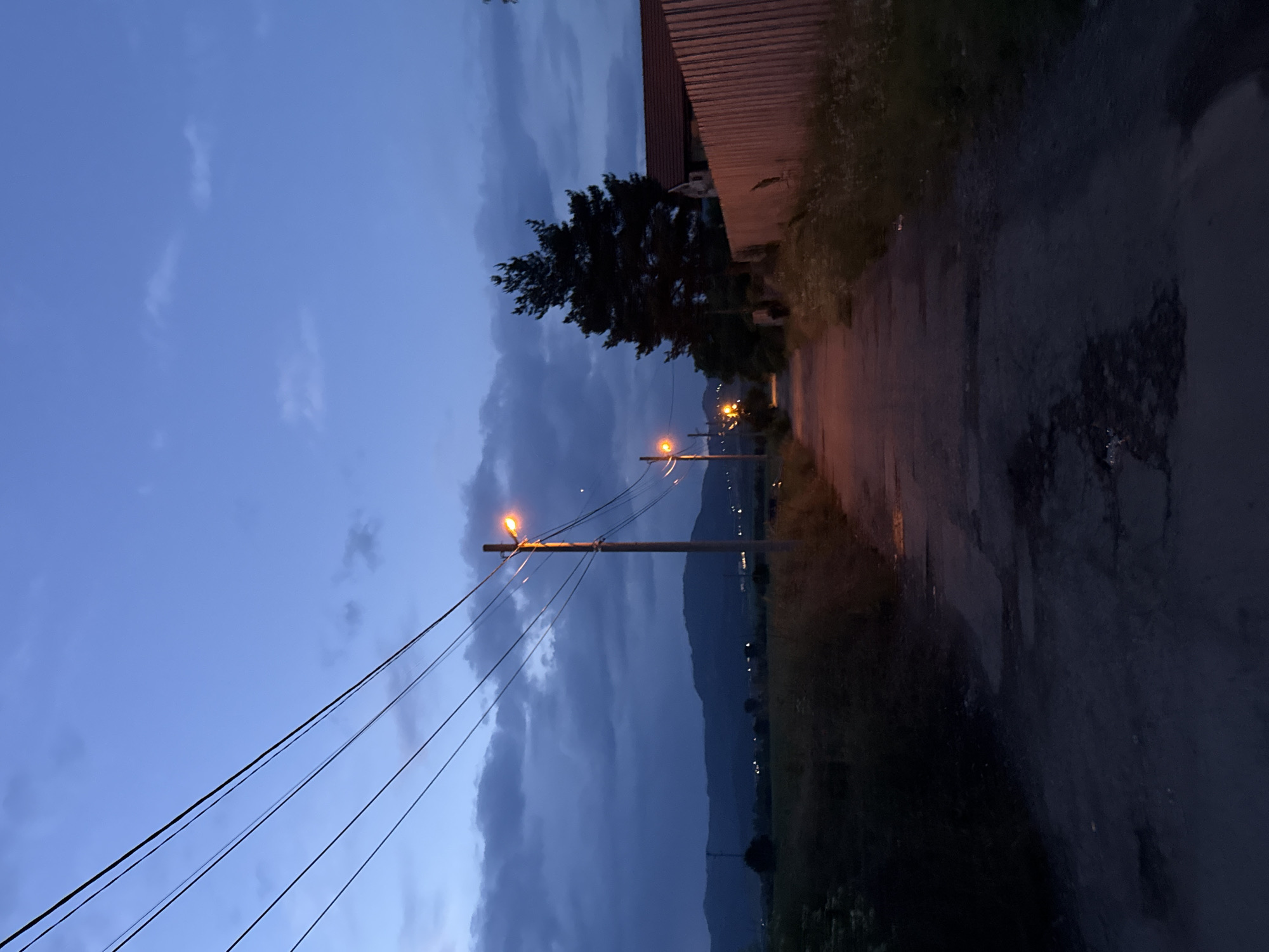 The image depicts a serene dusk or early night scene in a rural or semi-rural setting, identified as Yana, Bulgaria. The sky is a deep blue-grey, predominantly covered by soft, diffused clouds, indicating the transition from twilight to darkness.
A dirt or gravel path occupies the right side of the frame, winding into the distance. Along this path, two streetlights emit a warm, orange-yellow glow, illuminating sections of the ground and nearby foliage. These lights are mounted on tall utility poles, from which several dark power lines stretch diagonally across the upper left portion of the sky.
To the immediate right of the path, a dark, silhouetted tree stands prominently, adjacent to a building, possibly a house or barn, characterized by its visible corrugated metal roof. The edges of the path are lined with dense, dark vegetation, including bushes and grass, which are mostly obscured by the low light conditions.
In the background, a distinct mountain range rises as a dark silhouette against the horizon, its peaks blending with the cloudy sky. Scattered small lights are visible at the base of these mountains, suggesting the presence of distant houses or a small community.
The scene is devoid of people or specific activities, conveying a sense of peaceful solitude. The interplay of natural elements like mountains and clouds with human infrastructure such as utility poles, streetlights, and a building creates a quiet, contemplative atmosphere. No visible text is present in the image.