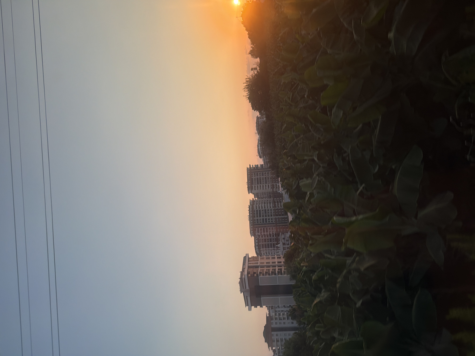 The image shows a sunset over a field of banana plants in Alanya, Turkey. Several multi-story apartment buildings are visible in the background, with a power line running across the top of the frame. The sky transitions from a pale blue at the top to a warm orange and yellow near the horizon, indicating the sun is setting. The banana plants are dense and lush, filling the foreground and midground of the image, with their large leaves creating a textured surface. The apartment buildings appear to be modern, with clean lines and balconies. The overall impression is one of a scenic evening view where nature and urban development coexist.