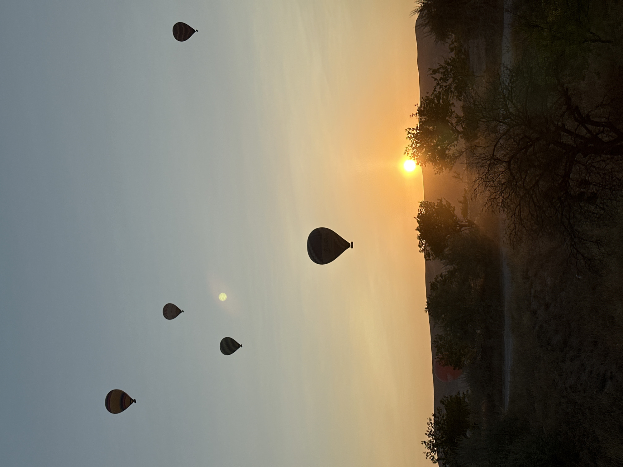 The image depicts a sunrise over the landscape of Göreme, Turkey, a region famous for its unique geological formations and hot air balloon rides. Several hot air balloons are visible ascending into the soft, gradient sky, which transitions from a pale blue at the top to warm hues of orange and yellow near the horizon. The sun is a bright, glowing orb just above a distant, silhouetted hill line, casting a gentle light across the scene. The foreground is dominated by the dark silhouettes of trees and bushes, with dry grass and uneven terrain suggesting a natural, uncultivated area. The overall atmosphere is serene and picturesque, capturing the beginning of a day with the iconic spectacle of hot air balloons in flight.
