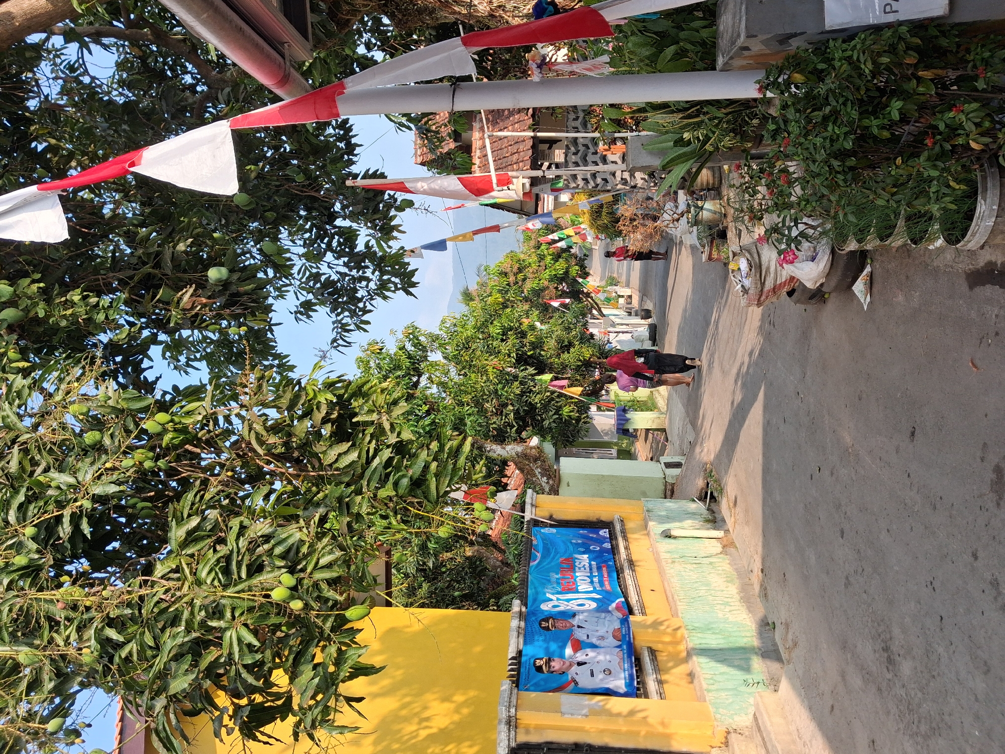 The image depicts a street scene in Bantarkawung, Indonesia, likely on a sunny day. A yellow building with a banner hangs on the left side of the frame, featuring portraits of two individuals in formal attire and text that reads "81 REPUBLIK INDONESIA". Several red and white Indonesian flags are displayed along the street, some attached to trees and poles, fluttering in the breeze. The street itself is paved with concrete and lined with houses and vegetation. Two individuals, one in a pink top and the other in a dark headscarf, are walking away from the camera down the street. Another person, wearing a red shirt, stands on the right side of the street, facing the camera. Planters filled with various green plants and some potted flowers are visible along the side of the road. The overall environment suggests a residential area celebrating an event or national holiday.
