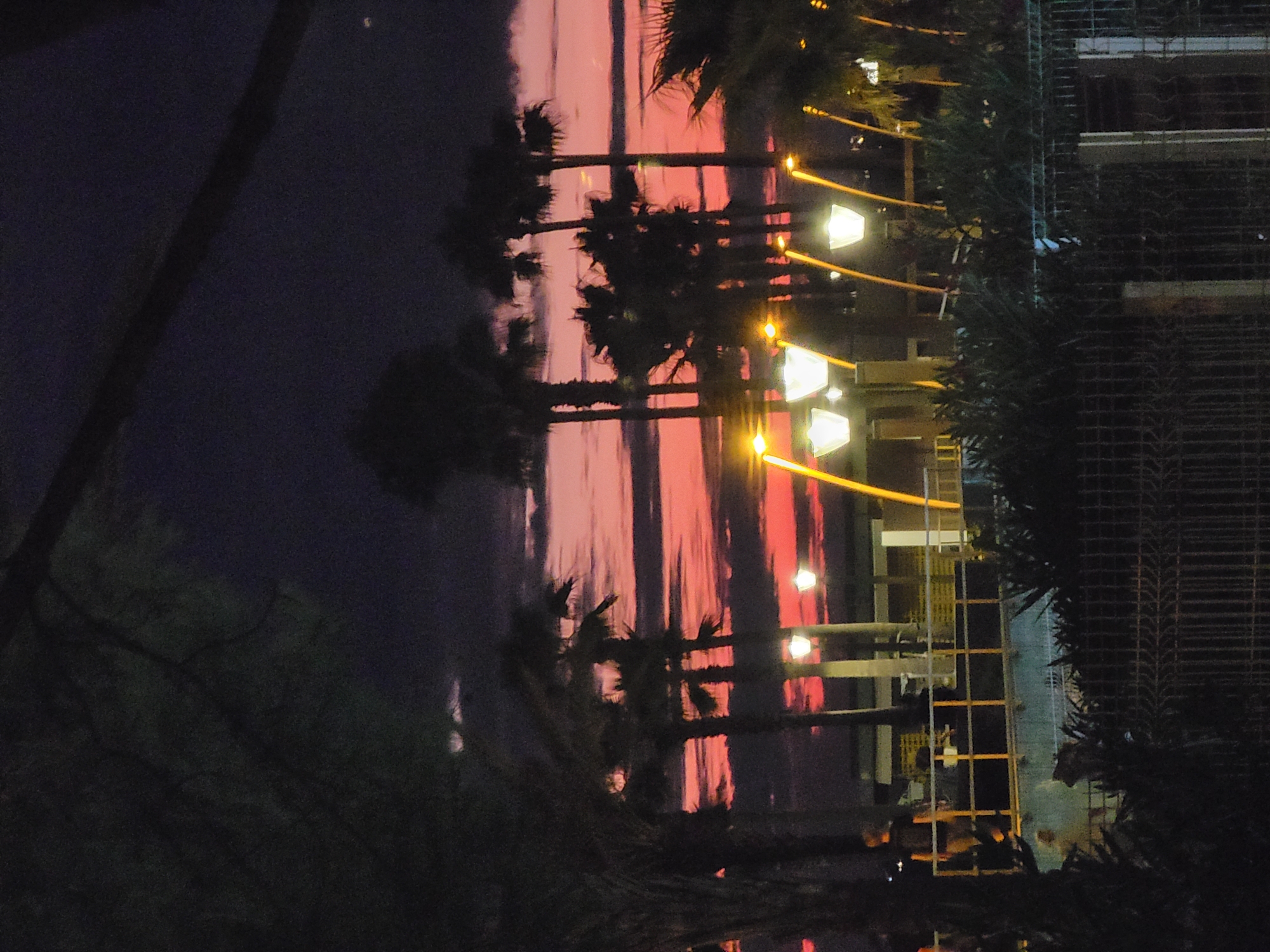 This image captures a dusk scene with a vibrant, pink-hued sky behind silhouetted palm trees. The sky transitions to a deep purple and then black towards the top of the frame, indicating the end of daylight. Several streetlights, emitting a bright white or yellowish glow, are visible in the foreground, illuminating a pathway or promenade area. A railing with yellow accents runs horizontally across the mid-ground, suggesting a raised platform or walkway. A solitary figure, appearing to be a man, is seen walking away from the camera on this elevated area. In the background, there are building structures with visible windows and doors. The lower part of the image is dominated by dark foliage and a metal fence, indicating the edge of a property or public space. The overall atmosphere is calm and serene, typical of a coastal town at twilight. The presence of palm trees and the style of architecture are consistent with coastal locations in Portugal, such as Quarteira.