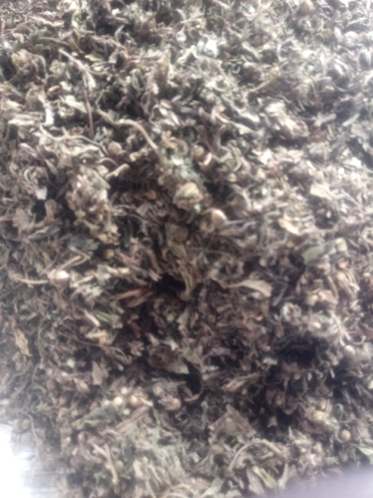 The image is a close-up, overhead view of a pile of dried, fragmented plant material. The material appears to be a mix of leaves, stems, and possibly seeds, with a dominant color palette of muted greens, browns, and grays. The texture is rough and irregular, with many fine, thread-like strands. The lighting is diffused, creating soft shadows and highlighting the varied textures of the plant matter. There are no discernable objects or individuals in the image, and no environmental context is provided to indicate a specific location within a city.