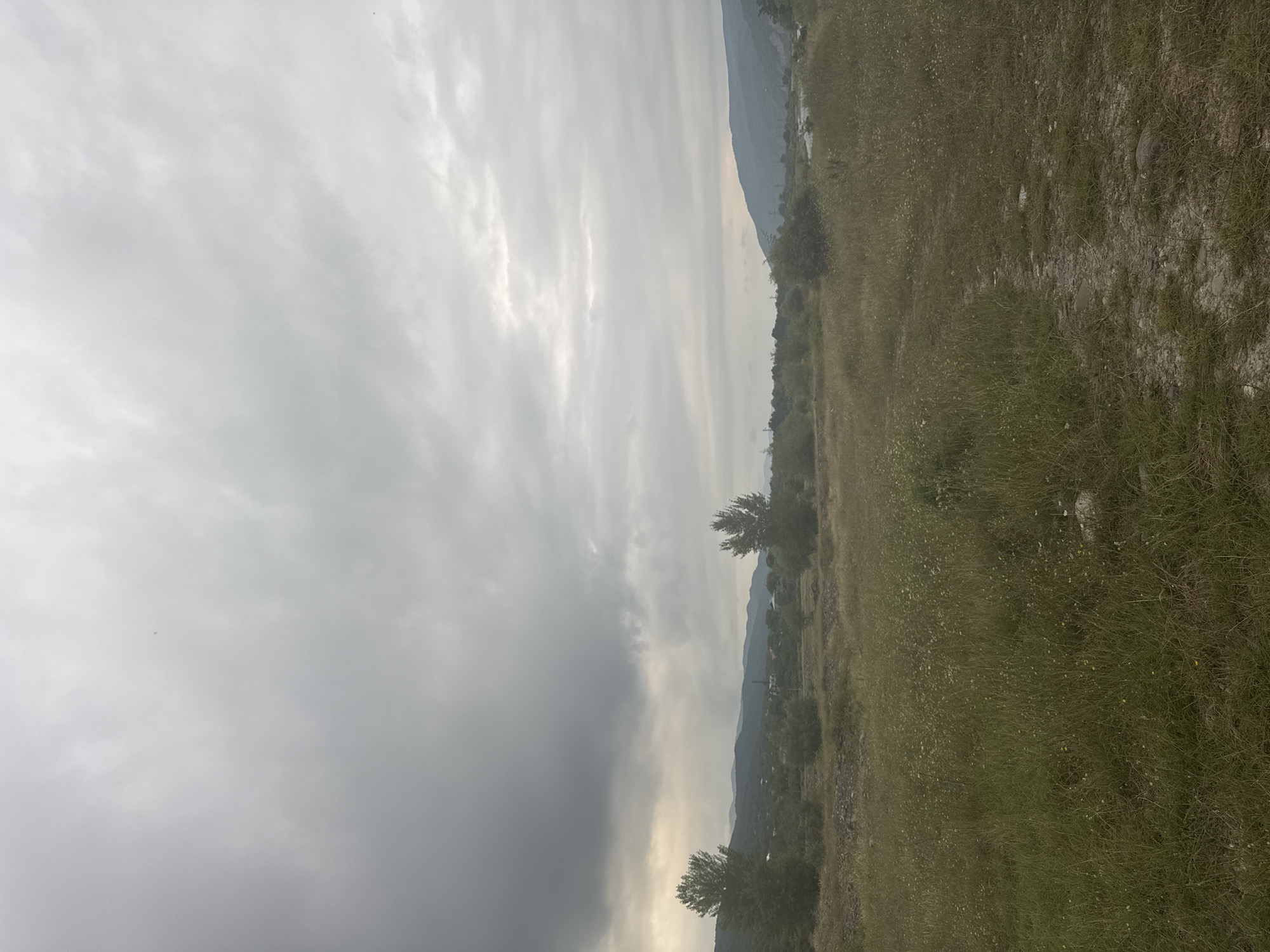 The image depicts a wide landscape view of Aragvispiri, Georgia, under an overcast sky with dramatic clouds. In the foreground, a field of tall green grass is dotted with small white and yellow wildflowers. A narrow, rocky path runs diagonally from the lower right corner towards the center of the frame. In the mid-ground, several trees are scattered across the terrain, with two larger trees prominent on the left and right. Beyond the field, a village or town is visible nestled amongst hills, characterized by scattered houses and a prominent industrial chimney. The background is dominated by rolling, verdant hills and mountains that fade into the hazy sky. The overall atmosphere is somber and natural.