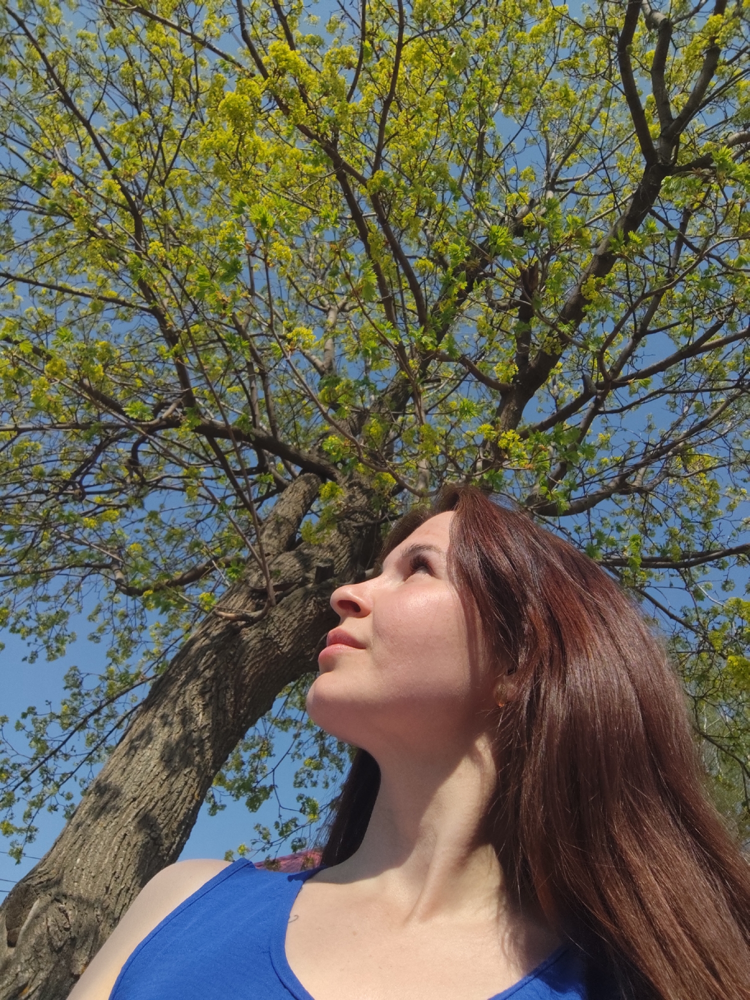 A young woman with long, reddish-brown hair is looking up at a tree with green and yellow leaves. The tree has a thick trunk and branches that spread out against a blue sky. The woman is wearing a blue tank top. The location is Фоки, Russia.