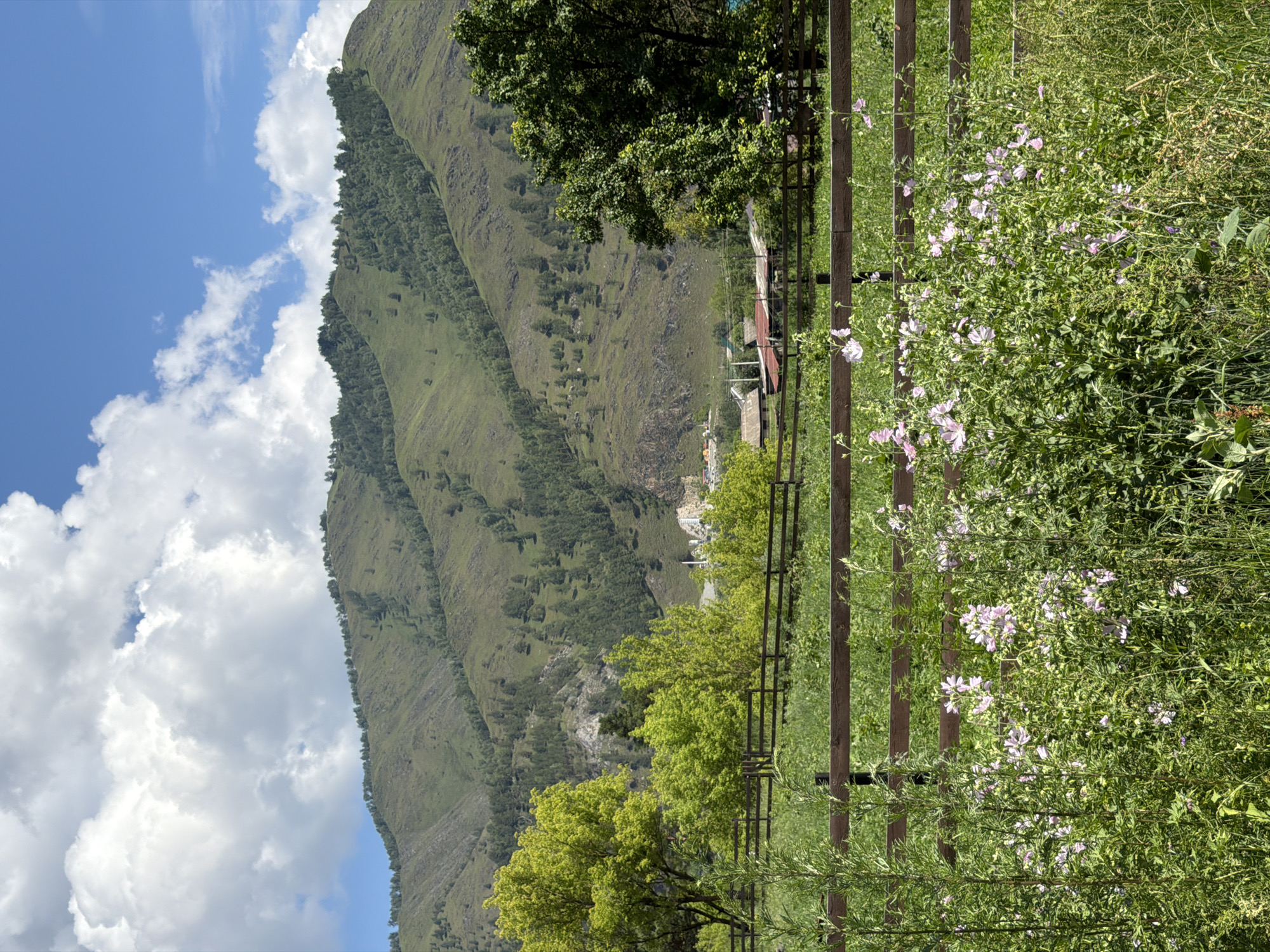 The image captures a rural landscape with a prominent mountain range in the background. The mountain slopes are covered in a mix of green vegetation and trees, with some lighter colored rocky outcrops visible. The sky above is a vibrant blue with scattered white cumulus clouds. In the foreground, a wooden fence runs horizontally across the image, separating a field of green grass and tall wildflowers, some of which are a pale pink, from a more distant scene. Behind the fence, a few scattered buildings with red roofs are visible amongst trees, suggesting a small village or settlement. Further in the background, on the lower slopes of the mountains, some industrial structures or buildings, possibly a factory or quarry, are faintly visible. The overall scene depicts a serene, natural environment with hints of human habitation and industry. The location is identified as the city of Anos, Russia. There are no people or animals visible in the image.