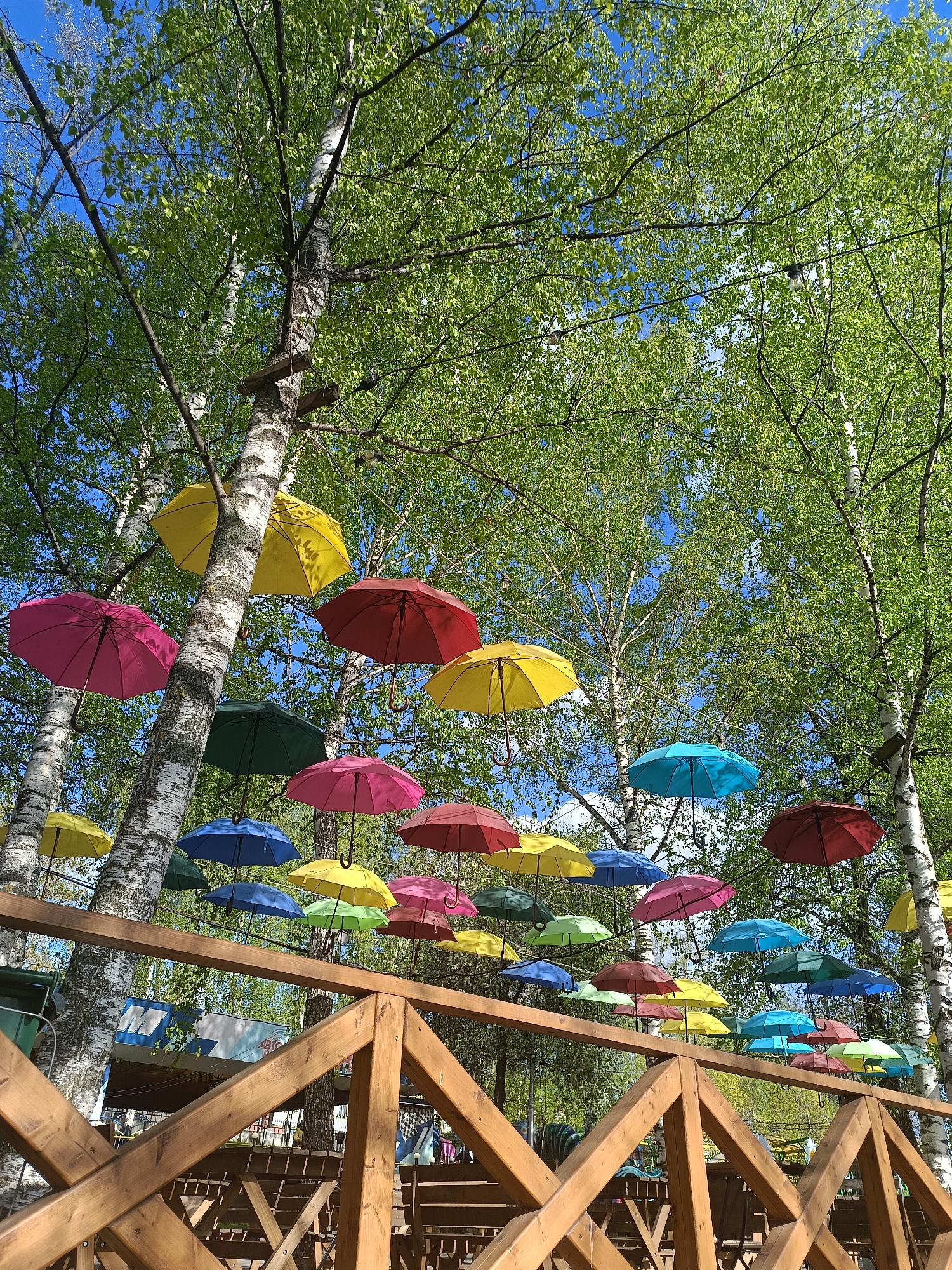 The image shows an outdoor space in Izhevsk, Russia. The scene includes a collection of colorful umbrellas suspended between trees, presumably as a decorative art installation. The trees are primarily birch, identifiable by their distinctive white bark. A wooden fence runs through the lower portion of the frame, suggesting a boundary or enclosure, possibly part of an outdoor seating area. The weather appears to be sunny, with a blue sky visible through the canopy of leaves. No people are visible in the photograph.