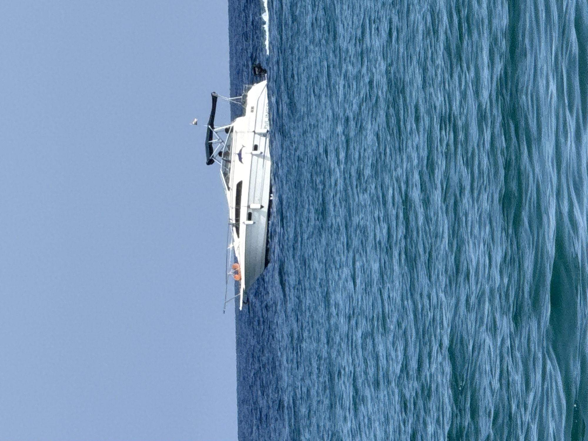 A white motorboat with a dark green canopy is moving through choppy blue water under a clear blue sky. The boat has an orange life preserver visible on its bow. The words "THYLINER" are visible on the side of the boat in black lettering. The boat is leaving a wake behind it, indicating movement. The scene is likely a view from another boat or the shore, looking out at the Mediterranean Sea. Blanes is a coastal town in Catalonia, Spain, known for its beaches and the Blanes Bay.