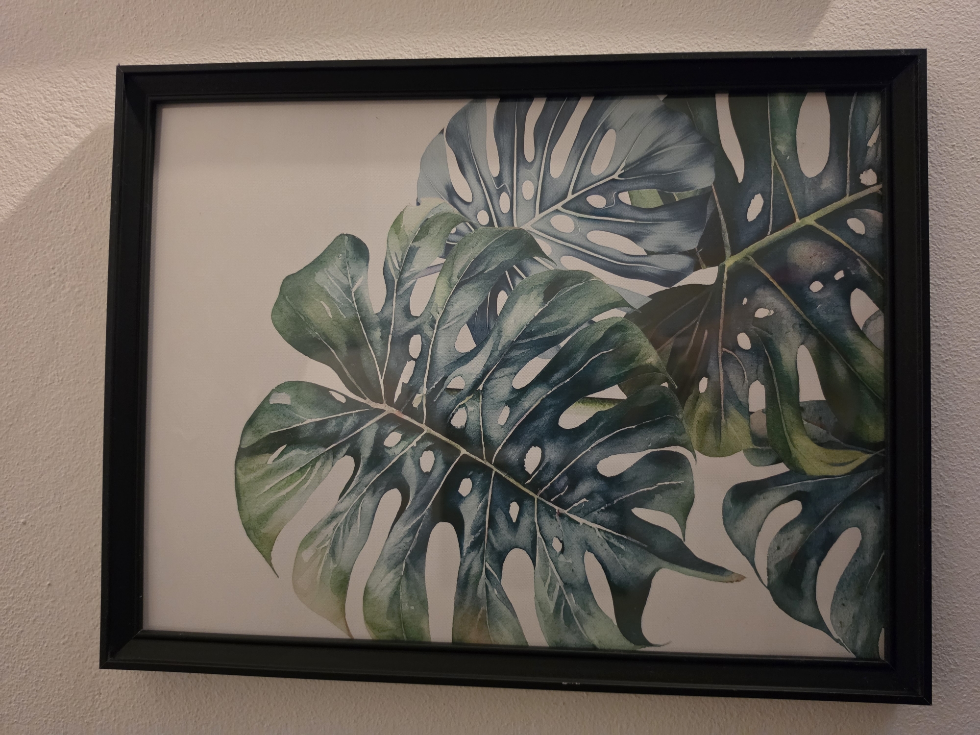 A framed print of monstera leaves hangs on a textured, off-white wall. The print is oriented vertically and features several large, green monstera leaves with characteristic holes and splits. The leaves are rendered in a watercolor style, with varying shades of green and blue, and are layered to create depth. A thin, black frame surrounds the print. The wall has a slightly rough, stucco-like texture. The scene appears to be an interior, likely a home or office, located in the city of Poprad, Slovakia. There are no people or actions depicted.