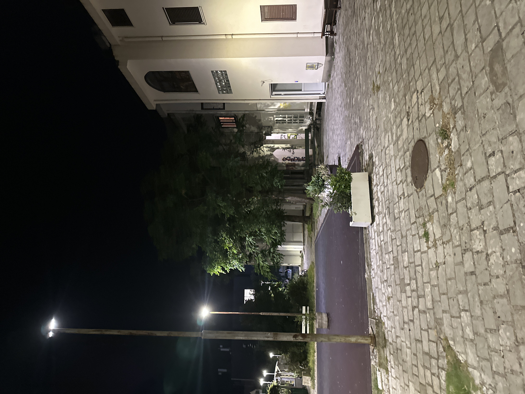 The image depicts an outdoor scene at night in Budva, Montenegro. A tall, utilitarian light pole stands on the left, illuminating a paved courtyard. The courtyard is surfaced with light-colored cobblestones and has a dark, possibly wet, rectangular area to its left.
To the right of the courtyard, a multi-story white building dominates the scene. It features dark-shuttered windows, some with lights on inside, and an open doorway with a white doorframe. The building's facade shows signs of age and is partially illuminated by the streetlights. Adjacent to the building, a large tree with dark green foliage casts shadows.
In the foreground, a rectangular planter box with green plants sits on the cobblestone. A manhole cover is visible in the paved area. Further back, other buildings and trees are dimly lit, and a bicycle is parked near the building on the right. The overall environment appears to be a public or semi-public space, likely a courtyard or plaza, with architectural elements and urban infrastructure.