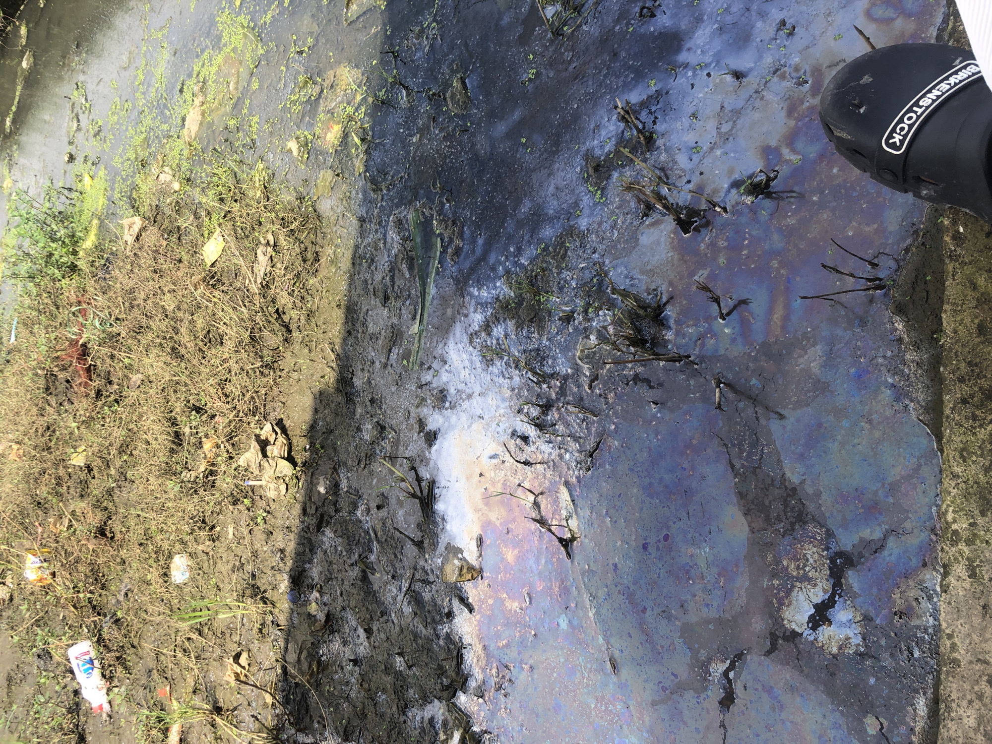 The image depicts an oil slick on a body of water, likely a gutter or drain, located in the city of Ado, Nigeria. The water is murky and polluted, with visible debris and plant matter. The oil slick exhibits iridescent colors, a common characteristic of oil on water. The surrounding environment appears to be a natural area with dry grass and mud. In the foreground, a person's foot wearing a black shoe with "BIRKENSTOCK" written on it is visible, suggesting the photographer was standing at the edge of the water. The scene conveys a sense of pollution and environmental degradation.