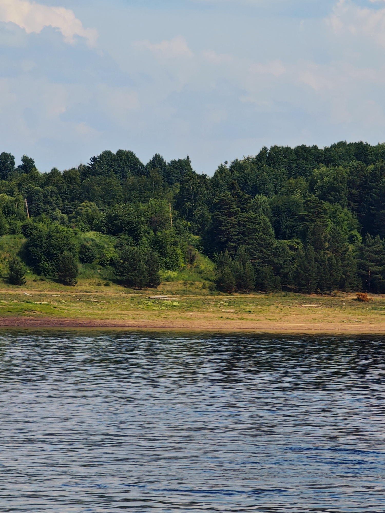 The image depicts a natural landscape dominated by a body of water in the foreground and a densely forested hillside in the background. The water exhibits ripples and reflections, suggesting a gentle current or breeze. The shoreline separating the water from the land is a strip of dry, sandy earth with patches of green vegetation.
The hillside is covered in a thick growth of various trees, primarily coniferous species with some deciduous trees interspersed. The foliage is lush and green, indicating a likely summer or late spring season. Sunlight illuminates the scene, casting shadows and highlighting the textures of the trees and the terrain. The sky above is a pale blue, with scattered white clouds.
Two thin, vertical poles, likely utility poles, are visible on the left side of the hillside, suggesting the proximity of human infrastructure to this natural setting. A small patch of reddish-brown vegetation stands out against the green on the far right of the hillside. The overall impression is one of a serene, undeveloped natural environment. The location in Erkalovo, Russia, implies this scene is a representation of the natural beauty found in that region, potentially a lake or riverbank within or near the city.