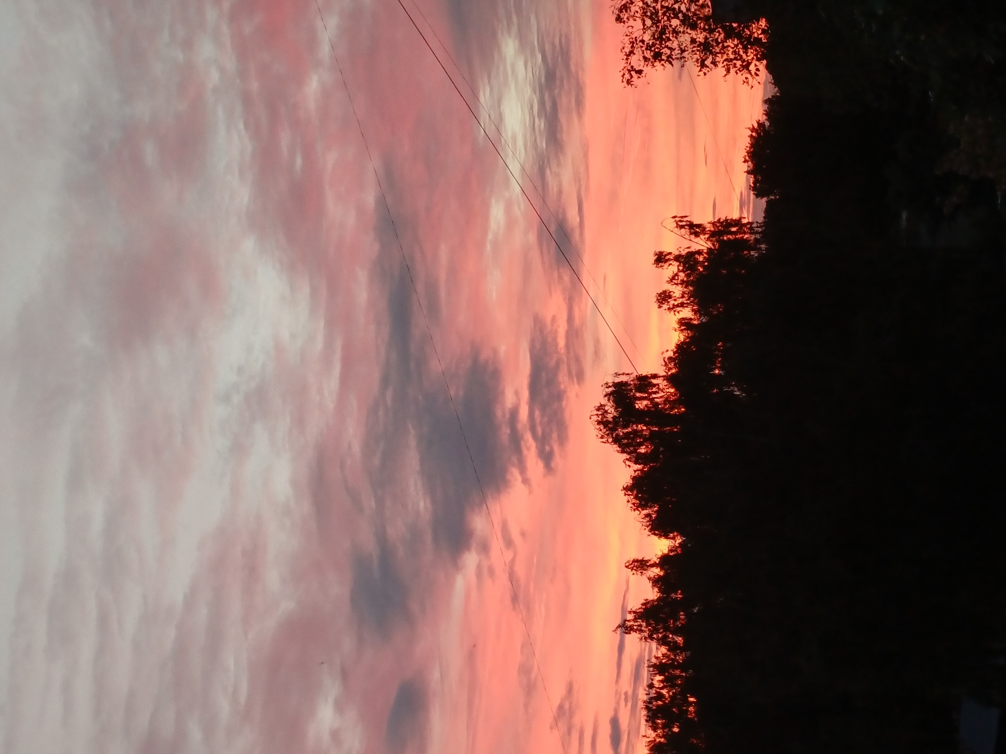 This is a vertical, medium-shot photograph of a sunset over Riga, Latvia. The sky is filled with a gradient of pinks, oranges, and grays, with wispy clouds. Silhouetted against the colorful sky are the tops of trees, which form a dark band across the lower portion of the image. Two power lines are visible diagonally across the upper right quadrant of the frame. The scene is devoid of people or any specific landmarks that would indicate a precise location within the city. The overall impression is one of natural beauty and tranquility.