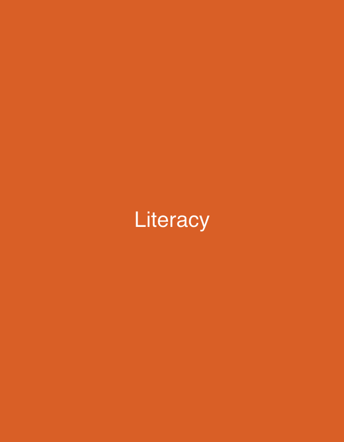 The image displays a solid, uniform orange background. Centered both horizontally and vertically on this background is the word "Literacy," rendered in white, sans-serif uppercase and lowercase letters. No individuals, physical objects, or environmental details are depicted within the image. The scene is an abstract graphic, conceptually located within the city of New Stadium, Nigeria.