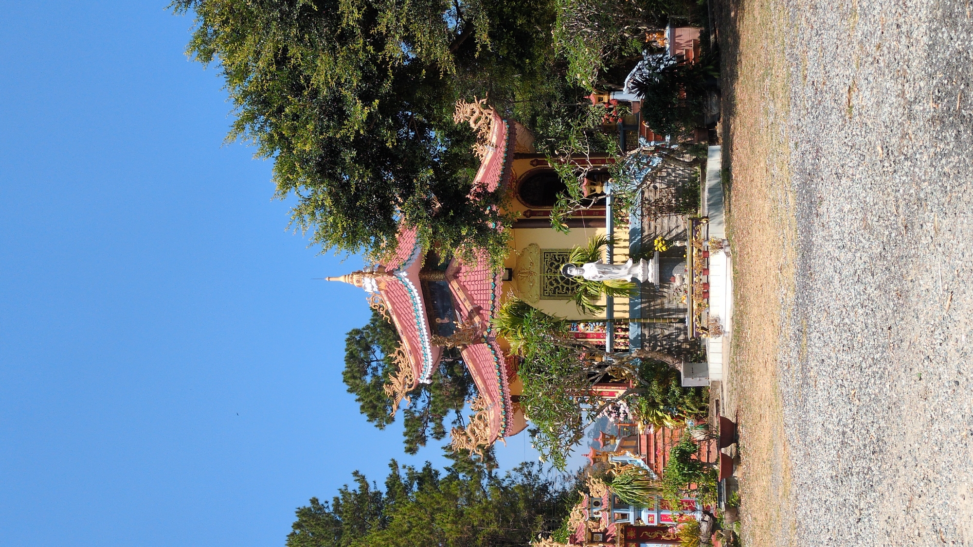 A color, eye-level outdoor shot shows a shrine at the Buddhist Temple in Lâm Sơn, Vietnam, in daylight, and set to the side with a pathway and blue sky.
The Buddhist temple is ornate and multicolored, with layered tiers of red-tiled roofs. Golden dragon statues adorn the edges of the roofs. A single white statue stands in front of the temple. A large tree casts a shadow on the left side of the temple.
The ground next to the temple is covered in gravel and dried grass. The sky is clear and blue.