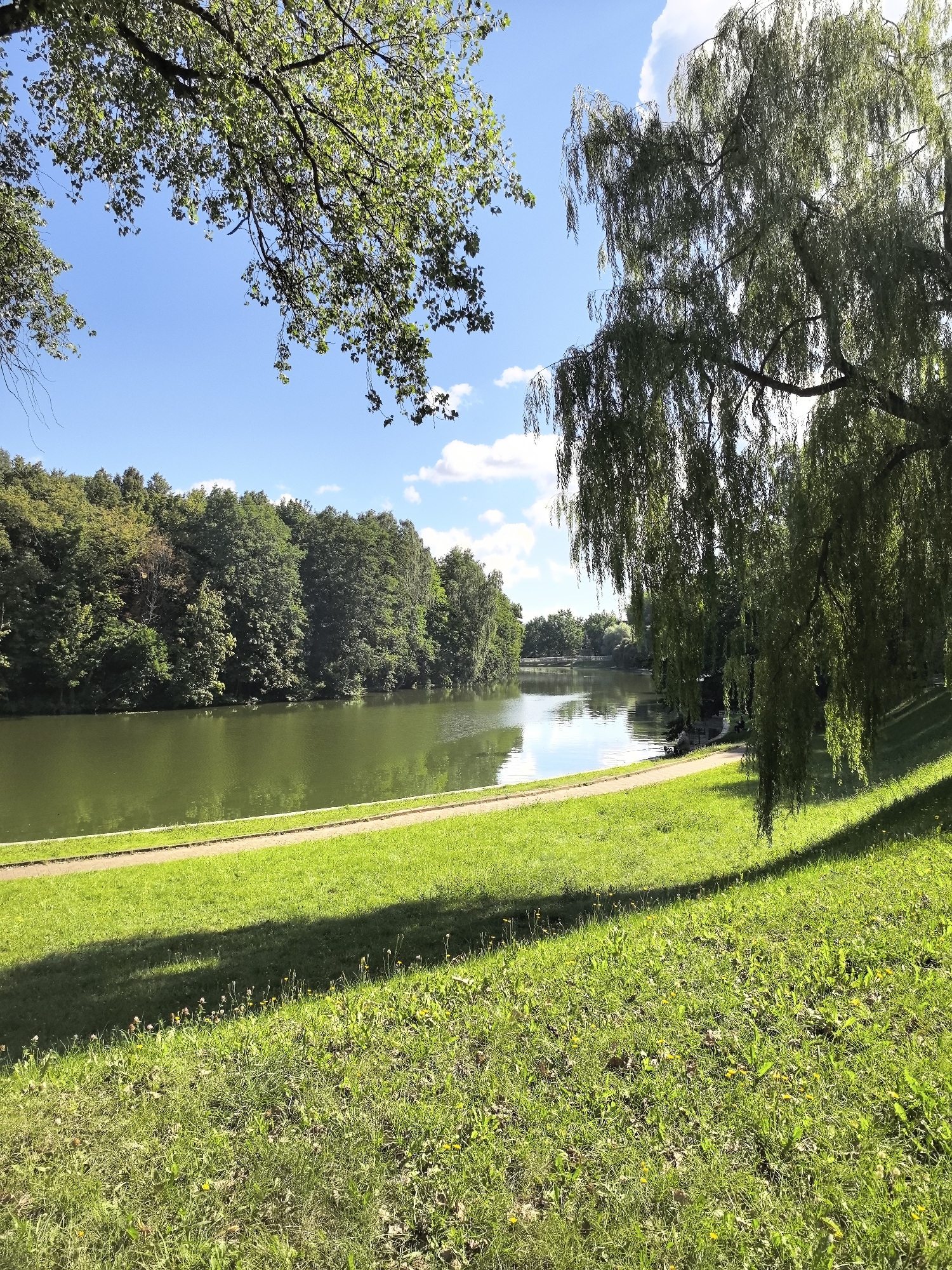 A scenic view of a lake in a park on a sunny day. The foreground features a lush green lawn with dappled sunlight and shadows. A paved path runs along the edge of the lawn, bordering a calm, reflective lake. Across the lake, a dense line of trees forms the background, with a bright blue sky dotted with white clouds above. A large weeping willow tree drapes its branches into the scene on the right, framing the view of the lake and the trees on the opposite shore. The overall impression is one of peaceful natural beauty within an urban park setting.