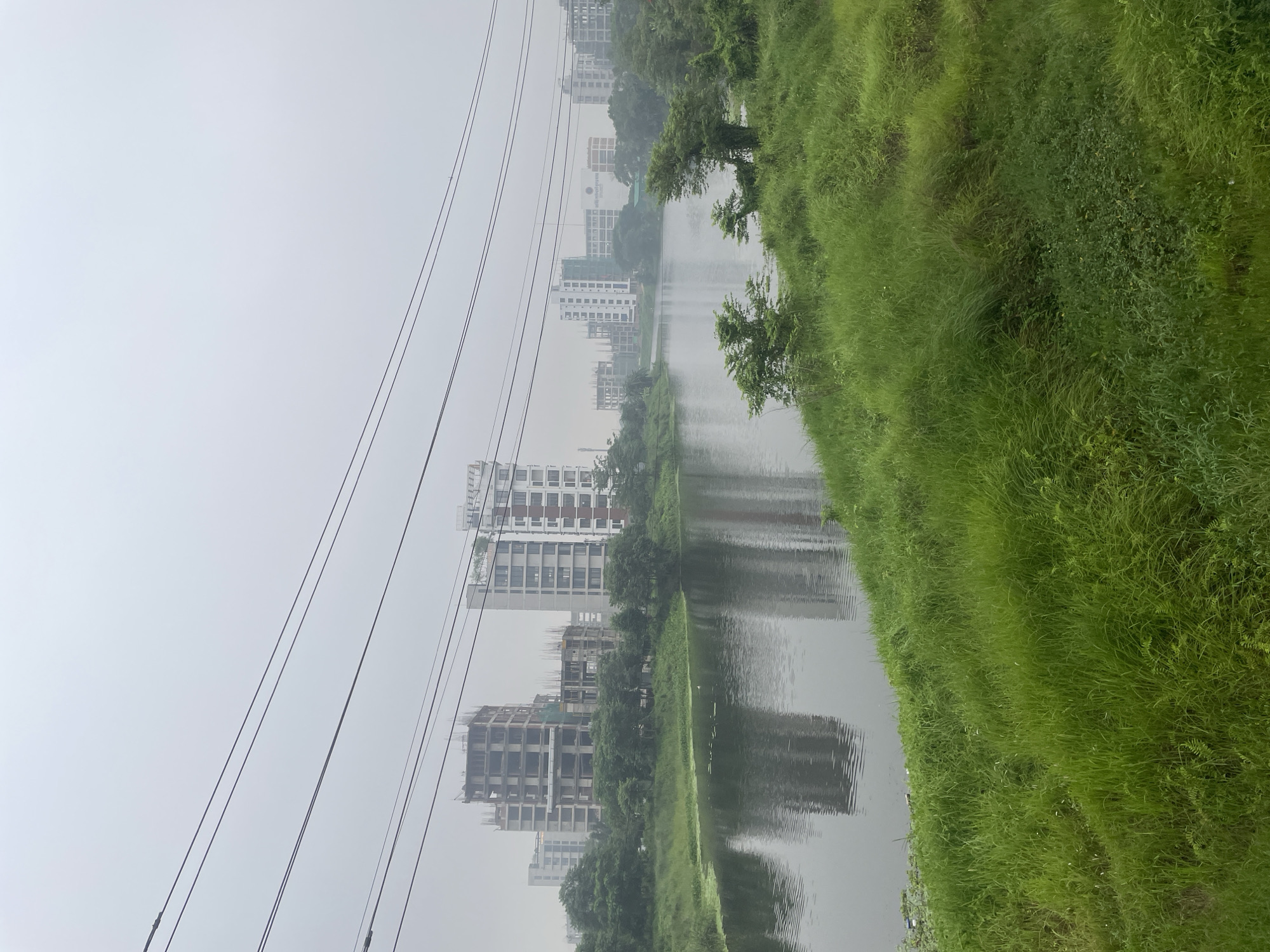 The image shows a landscape in Rupganj, Bangladesh, featuring a body of water reflecting buildings and greenery. The water stretches from the bottom to the middle of the frame. The right side of the image is dominated by a bank covered in tall, green grass and sparse trees. On the left side, several tall buildings are visible, some under construction, emerging through a slightly hazy atmosphere. Power lines cut across the upper left quadrant. The sky is overcast, contributing to the hazy or foggy appearance.