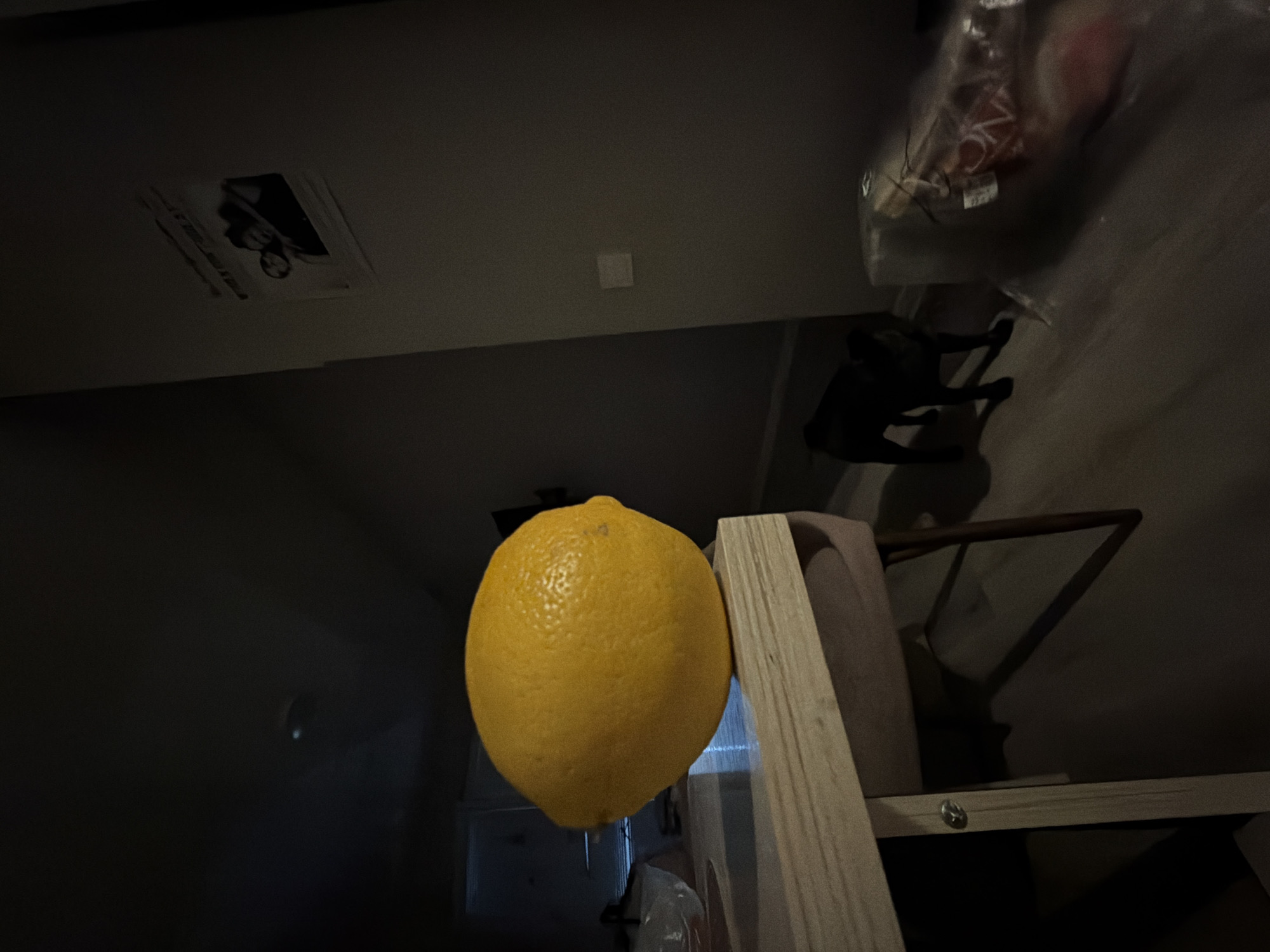 In a dimly lit room, a large yellow lemon rests on a light-colored wooden table, its textured rind catching the faint light. To the right of the table, a small black dog stands, facing left. Beyond the dog, a clear plastic bag containing what appears to be food, possibly meat, lies on the floor. A dark-colored framed picture is visible on the wall in the upper right portion of the scene. The room's lighting suggests it is nighttime or the blinds are drawn. The floor appears to be laminate or wood. The overall atmosphere is one of a domestic interior, possibly a kitchen or living area. No specific location in Sirius, Russia, can be identified from the visual information provided.