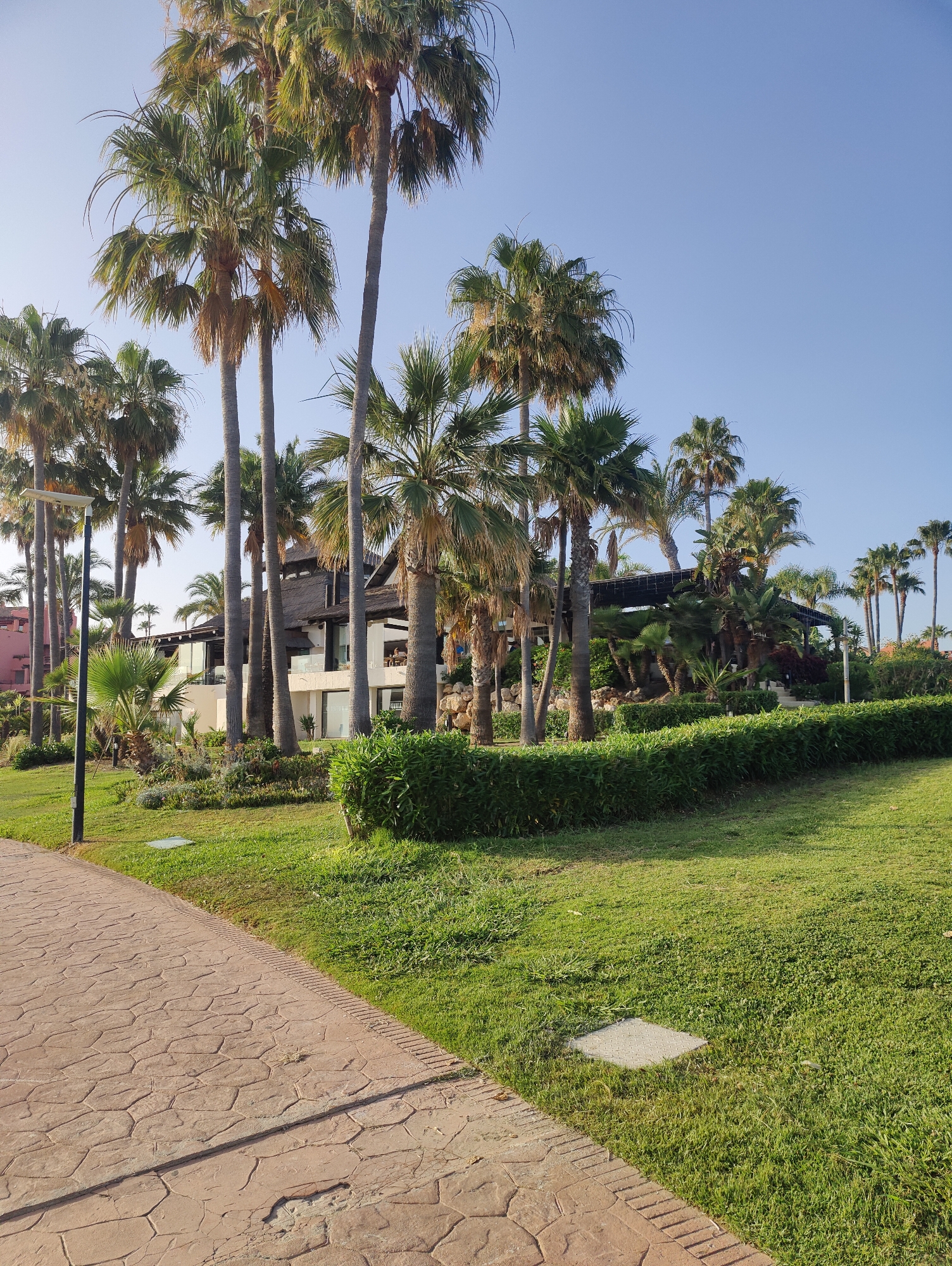 The image depicts a sunny outdoor scene with lush green grass and tall palm trees in the foreground and midground. A paved pathway with a reddish-brown, hexagonal pattern runs along the left side of the image. In the midground, a building with a thatched roof and white exterior walls is visible, surrounded by more palm trees and dense green foliage. The sky is clear and blue. There are no people visible in the image. The overall impression is a tropical or Mediterranean resort setting.
