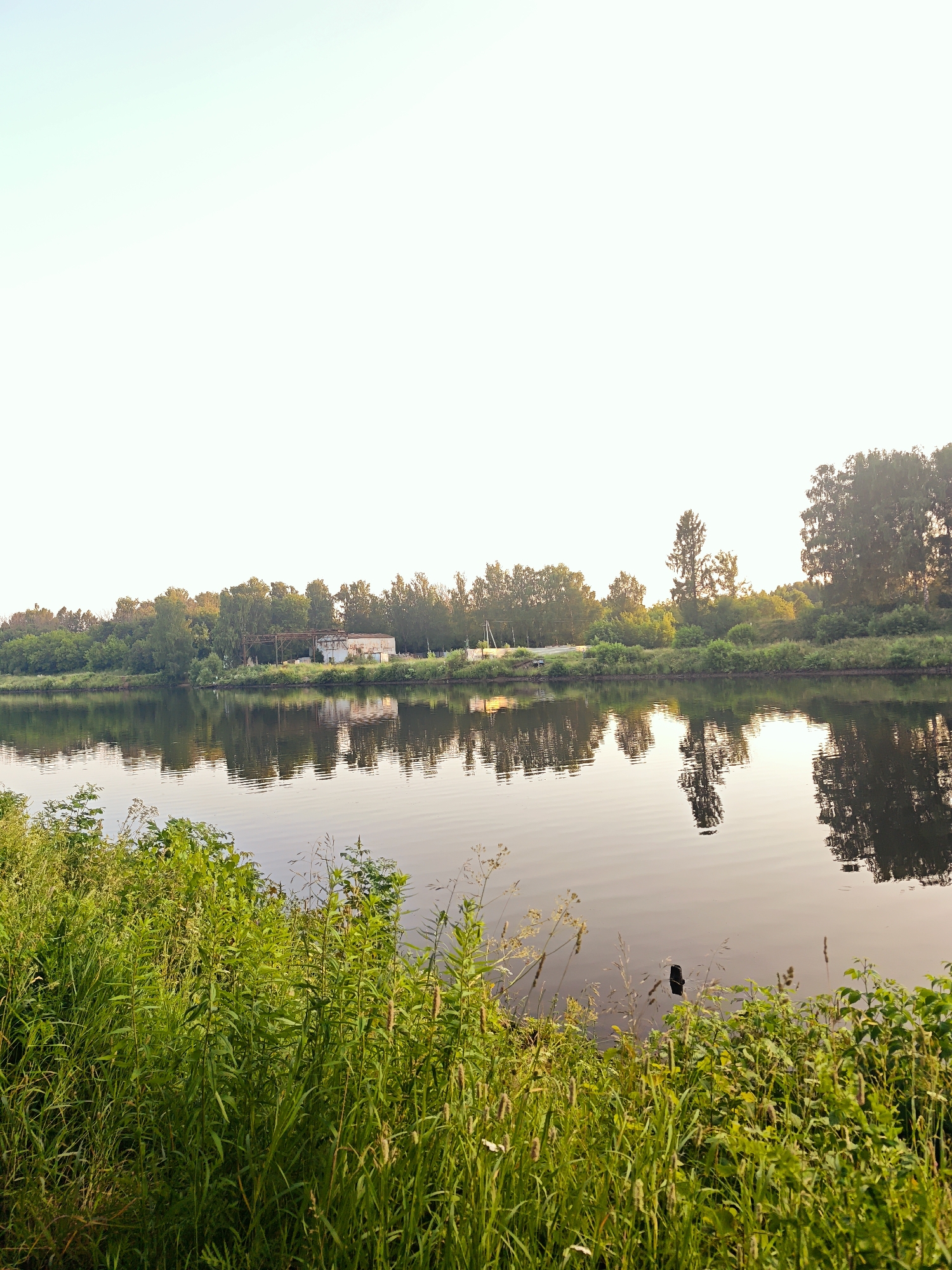 The image depicts a tranquil riverside scene at what appears to be dawn or dusk, given the soft, diffused light and the clear, bright sky. The foreground is dominated by lush, green vegetation, including tall grasses and various leafy plants, bordering the calm water of a river or canal. The water reflects the trees and structures on the opposite bank, creating a symmetrical and serene visual.
Across the water, a line of trees forms a dense, green backdrop, interspersed with patches of sky. Among the trees, there is a cluster of buildings, including what looks like a small, somewhat dilapidated white structure with a darker, possibly metallic, roof extension. The reflections in the water are clear, with the shapes of trees and buildings mirrored on the surface.
The overall impression is one of peacefulness and natural beauty, perhaps in a rural or semi-rural setting. The lack of human activity or any discernible text suggests a quiet moment captured in time, highlighting the natural landscape and the gentle interplay of light and reflection. The weather appears calm and clear. The location is identified as Dedenevo, Russia.