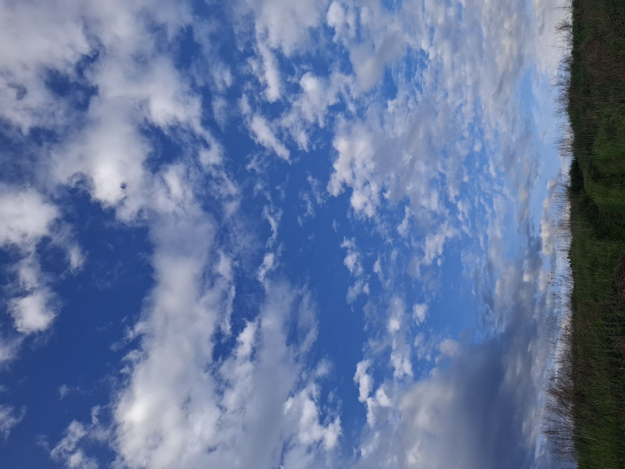 The image shows a view of the sky with scattered white clouds and patches of blue. A strip of vegetation, possibly grass and shrubs, is visible along the right edge of the frame. The image is taken in Дерезовка, Russia, which can be inferred from the task instructions.