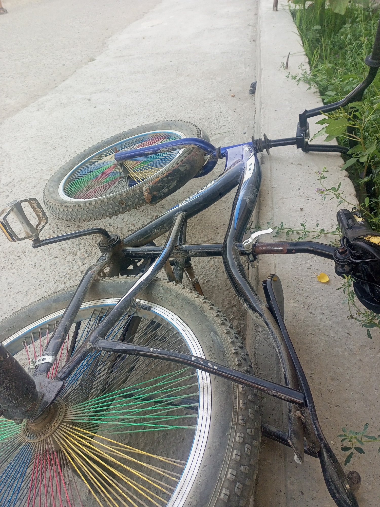 A black bicycle with colorful spokes lies on a concrete path next to a curb. Green foliage is visible on the right side of the image. The bicycle's front wheel is on the left, and the rear wheel is on the right. The bicycle is positioned such that the frame is angled upwards. The concrete path appears worn and dusty. The scene is outdoors, likely in a public area. There is no indication of people or specific actions taking place. The location in Tahmach, Uzbekistan is not visually discernible from the image itself but has been provided as context.