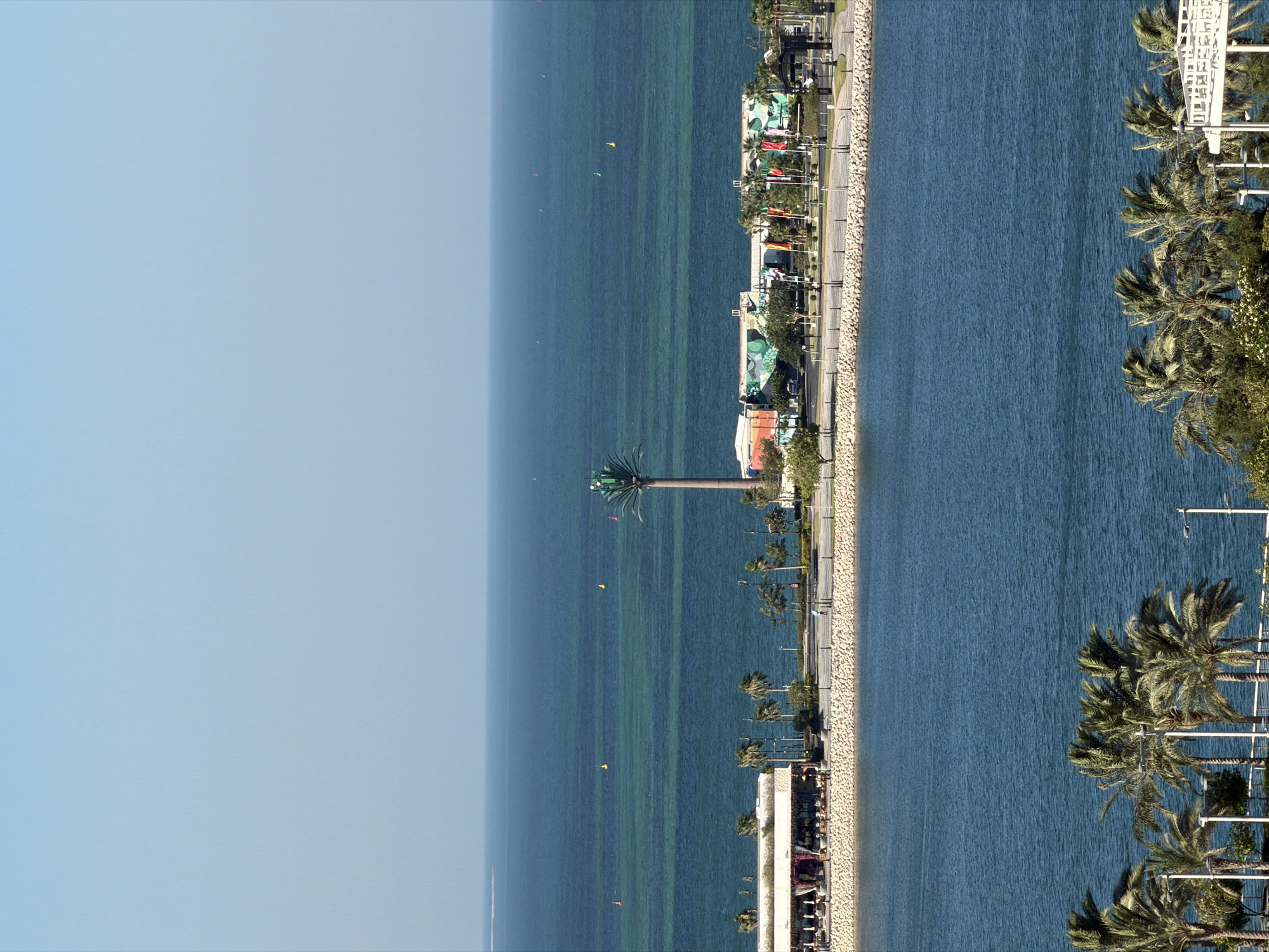 The image shows a picturesque coastal scene, likely taken from an elevated viewpoint. The foreground is dominated by the vast expanse of a deep blue sea, with gentle ripples on its surface. The water transitions to a lighter, more turquoise hue closer to the shore, hinting at shallows or perhaps the presence of coral or vegetation beneath the surface.
Along the shoreline, a paved walkway runs parallel to the water, bordered by a textured embankment of light-colored stones. Beyond the walkway, a strip of greenery, including numerous palm trees with their distinctive fronds, adds a tropical feel to the setting. Scattered among the trees are structures that appear to be buildings or kiosks, some adorned with colorful banners or awnings, suggesting a lively recreational area or a commercial establishment.
Further back, a very distant horizon separates the sea from a pale, hazy sky. There are a few small, colorful flags or buoys visible in the water, and a lone, slender palm tree stands prominently near the middle of the frame. The overall impression is one of a serene and vibrant seaside location, likely enjoyed during daylight hours under clear or partly cloudy skies. No people are clearly discernible in the image. The image is oriented vertically, with the sea and shore running from the bottom to the top.