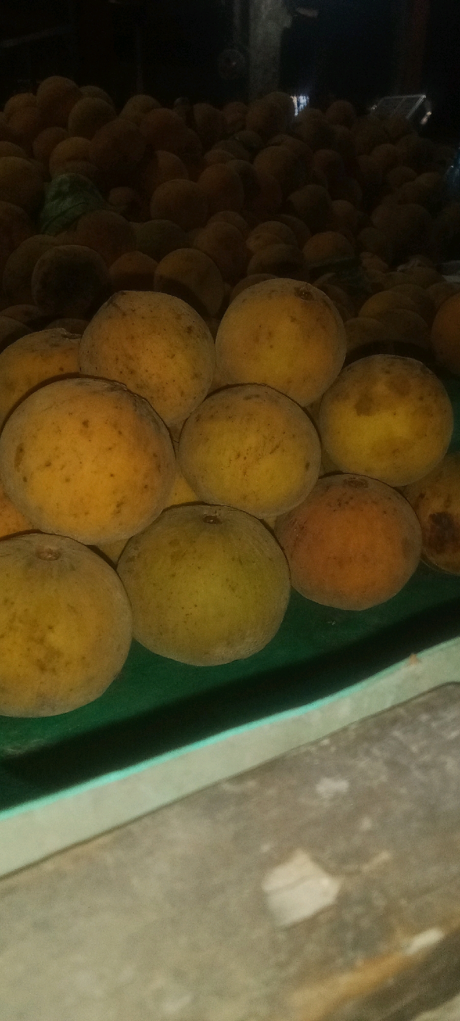 In Karawang, Indonesia, a pile of ripe santol fruits is displayed in a green plastic container, possibly at a market or roadside stall. The fruits are round, with a fuzzy, light yellow to orange skin, and some exhibit small brown blemishes. They are densely packed, with several layers visible. The lighting is dim, suggesting it might be nighttime or an indoor setting with low illumination. The background is dark and indistinct, with hints of other fruits or objects. The foreground shows a blurred surface, possibly a counter or table.