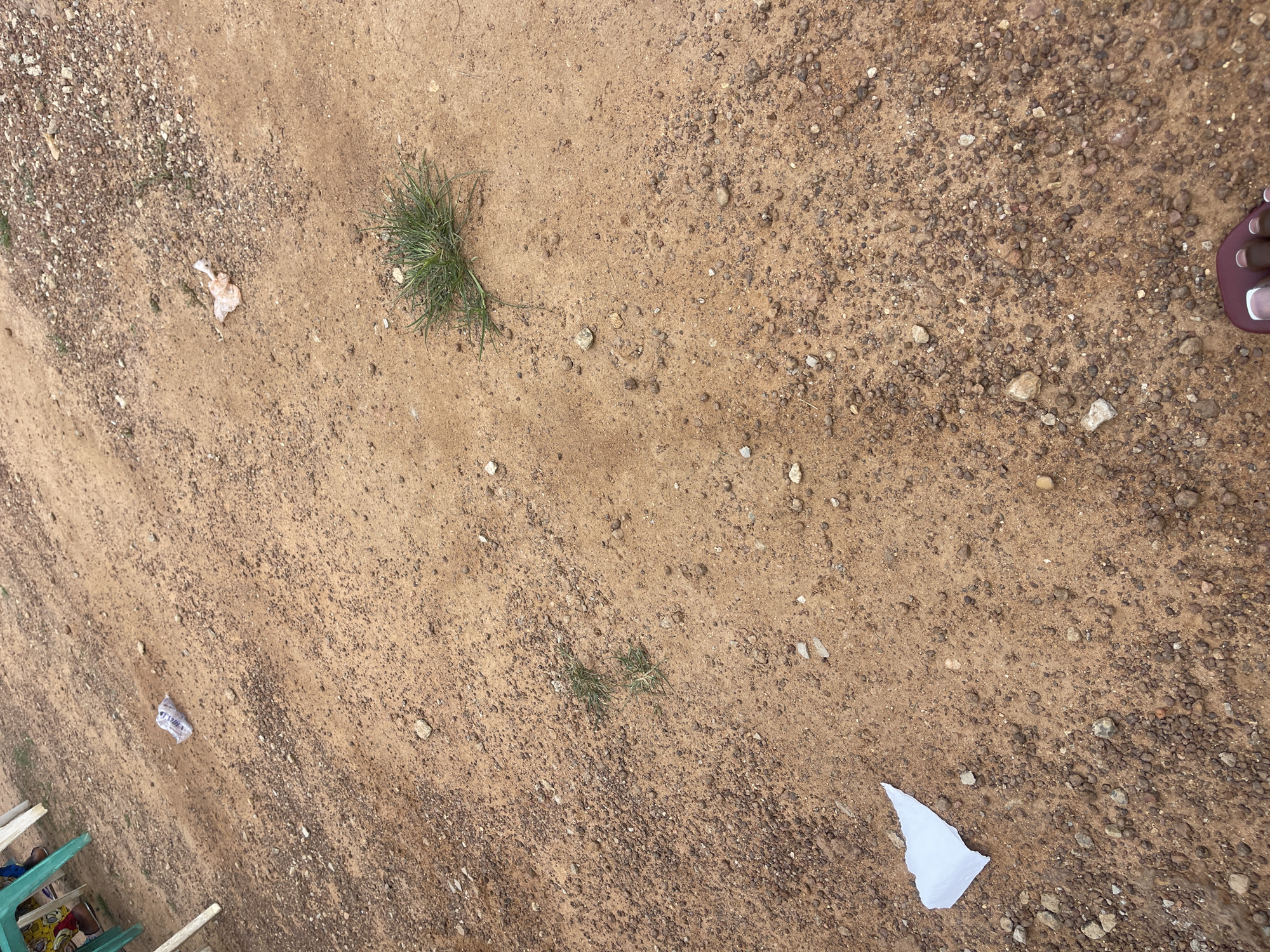 The image depicts an outdoor scene on a sandy and rocky ground, likely in Mangu Town, Nigeria. In the foreground, a person's feet are visible, wearing a dark-colored sandal. Scattered across the ground are several pieces of litter, including a crumpled plastic bag containing some white material, and a piece of white paper. A small clump of green grass is growing in the middle of the ground. In the upper left corner, parts of plastic chairs are visible, suggesting a seating area. The ground appears to be a natural, unpaved surface, common in many areas of Mangu Town.