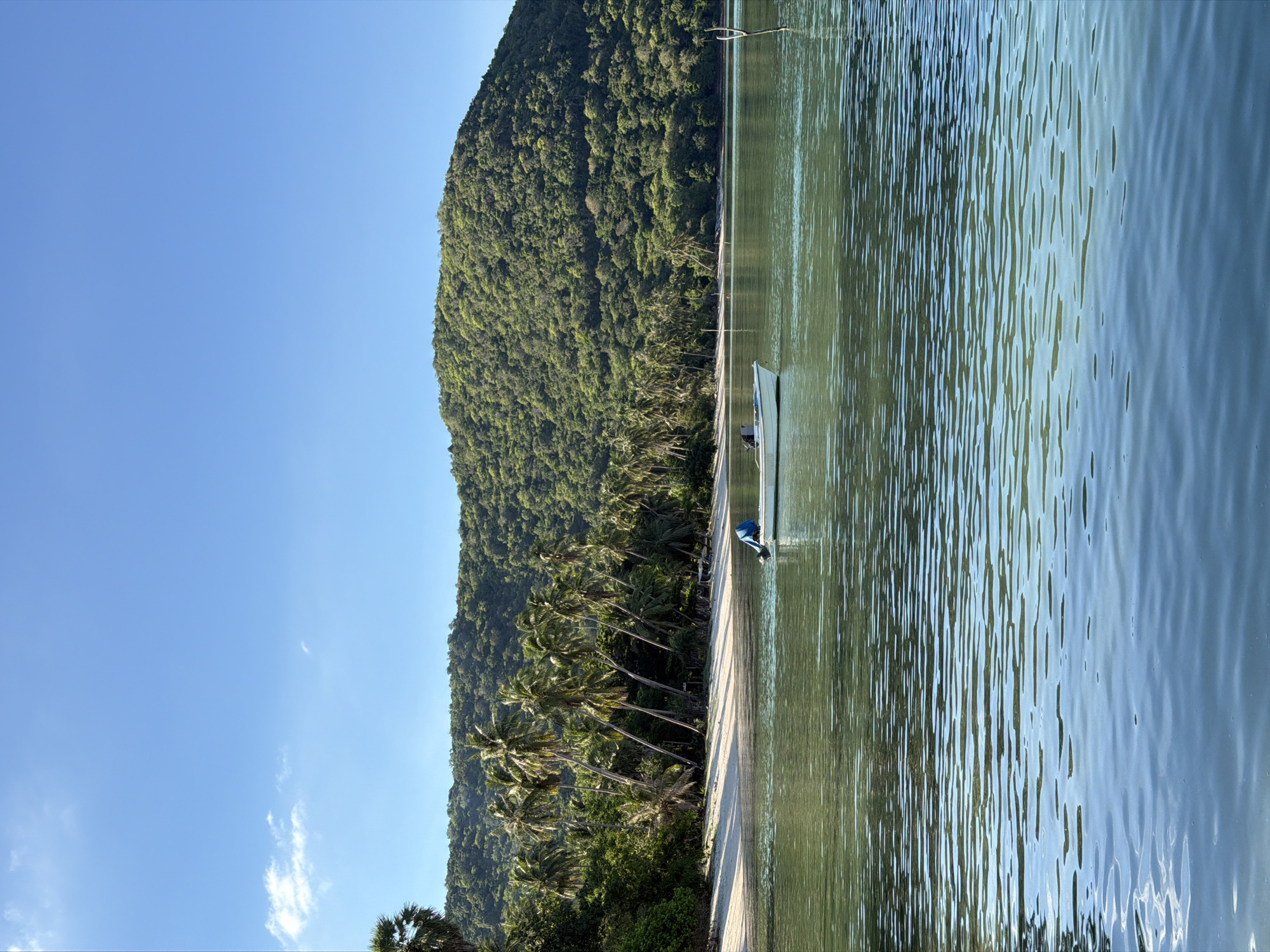 The image depicts a tranquil coastal scene in Baan Thong Krut, Thailand, bathed in bright sunlight under a clear blue sky. The foreground is dominated by calm, greenish-blue water with gentle ripples reflecting the sky. A small, white boat with an outboard motor is positioned in the middle ground. Two individuals are visible in the boat; one is seated at the stern, seemingly operating the motor, while the other is seated further forward.
The middle ground transitions to a sandy beach lined with a dense row of leaning palm trees. Beyond the beach, a lush, green, tree-covered hillside rises steeply, forming the backdrop of the scene. The vegetation is thick and varied, suggesting a tropical environment. The overall impression is one of serene natural beauty and coastal living.