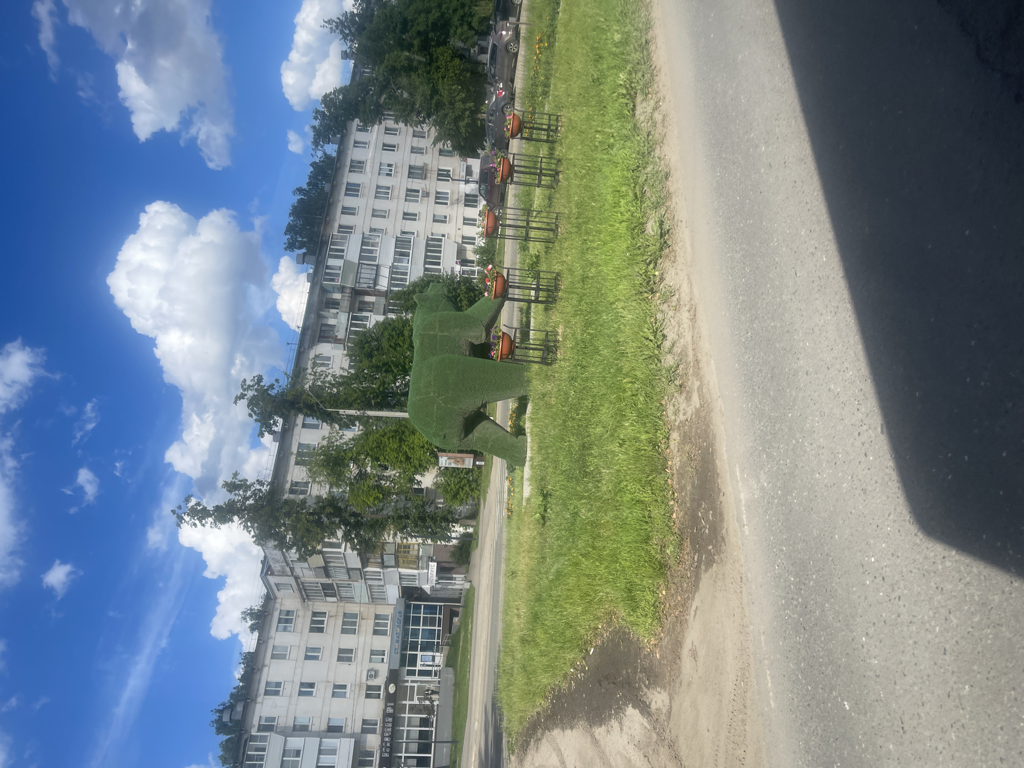 The image depicts an outdoor scene in the city of Chaikovsky, Russia, on a sunny day with a blue sky and scattered white clouds. In the foreground, a paved road curves to the left, with a grassy median strip to its right. Prominently featured in the grassy area is a topiary sculpture of a bear, meticulously shaped from green foliage. The bear sculpture is positioned on its hind legs, with its head lowered as if sniffing the ground. In front of the bear, a row of four black metal stands, each holding a terra cotta pot with blooming flowers, are arranged in a line.
Behind the grassy median, a light-colored multi-story apartment building runs horizontally across the frame. The building has numerous windows and balconies. Trees with green foliage are visible growing along the top of the building and in front of it. To the right of the building, parked cars are visible along the street. Signs are present on the building, including one with Cyrillic text that appears to read "Стоматология" (Dentistry). The overall environment suggests a residential or public area within the city.
