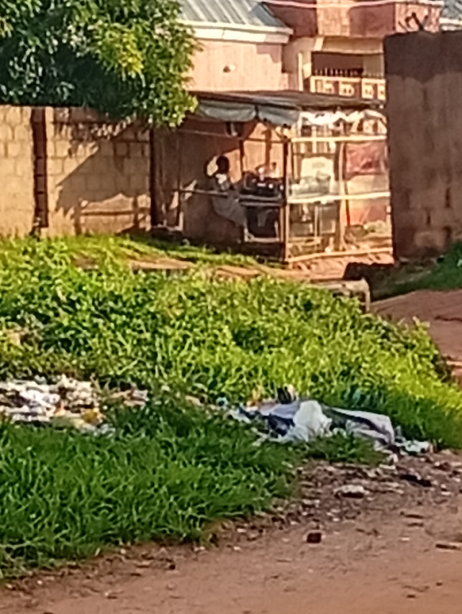 The image depicts a street scene in Tumfure, Nigeria. In the foreground, a dirt path leads to an area with abundant green grass, bordering a pile of white and grey plastic bags, suggesting litter. Behind the grass, a small, open-air market stall is visible, with a person seated inside. The stall is stocked with various items, including bottles arranged on shelves. Further in the background, there are brick buildings with patterned roofs, characteristic of the local architecture. The lighting suggests it is daytime, with shadows cast by the buildings.
