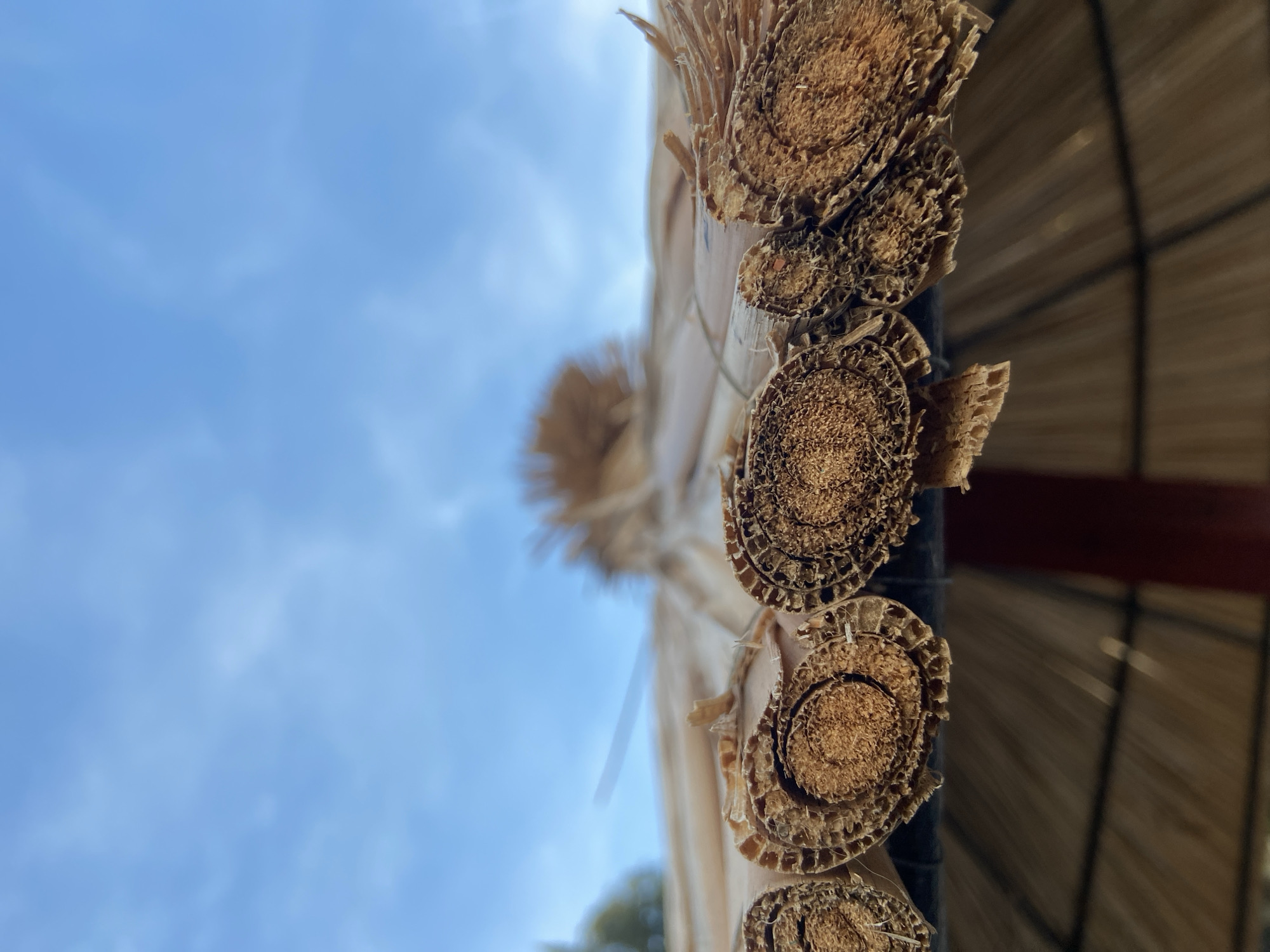 The image presents a low-angle perspective, looking upwards at the underside of a structure made of dried, fibrous plant material, against a clear sky. The upper third of the frame consists of a light blue sky with faint, wispy cloud formations. The central focus is a horizontal array of multiple tightly rolled, cylindrical bundles of light to reddish-brown plant fibers, forming what appears to be the edge of a thatched roof or umbrella. These bundles are sharply in focus, revealing concentric layering and a granular, fibrous interior texture, along with frayed and worn edges. Behind these, the rest of the thatched structure extends upwards and away, appearing blurred, with a distinct brush-like element visible at its apex and a hint of green foliage to the left. The lower third of the image shows the shadowed underside of the structure, composed of numerous interwoven strands of similar material, with a blurred dark vertical support element and a horizontal dark band visible beneath the primary row of rolled bundles. No people are present. The location is Unknown, Unknown.