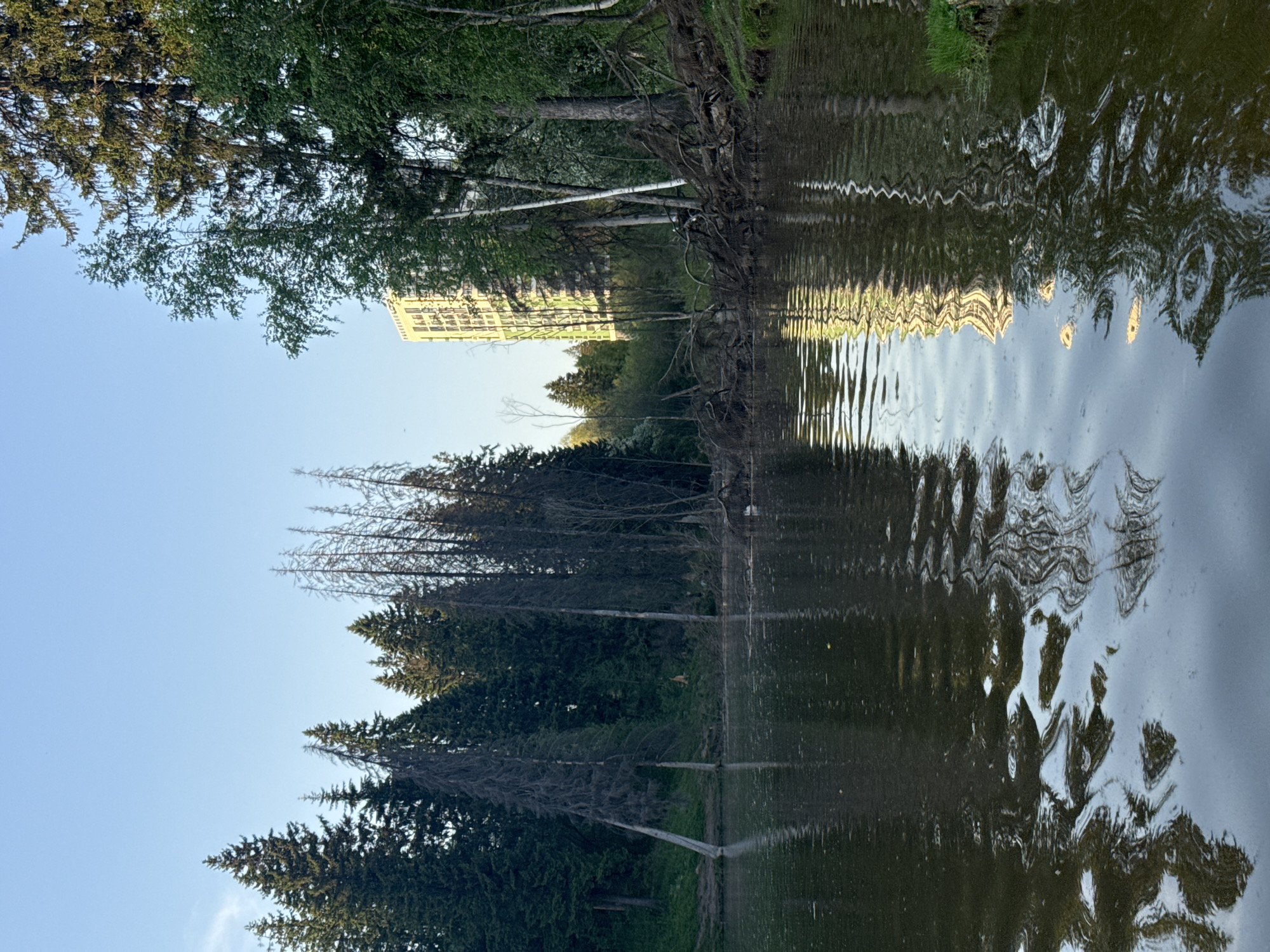 The image depicts a body of water, possibly a pond or lake, reflecting the surrounding environment. Along the water's edge are trees, including evergreens and deciduous varieties. A building is visible in the background, possibly a residential or commercial structure, reflected in the water as well. The sky is blue. It has been described as the city of Izhevsk, Russia.