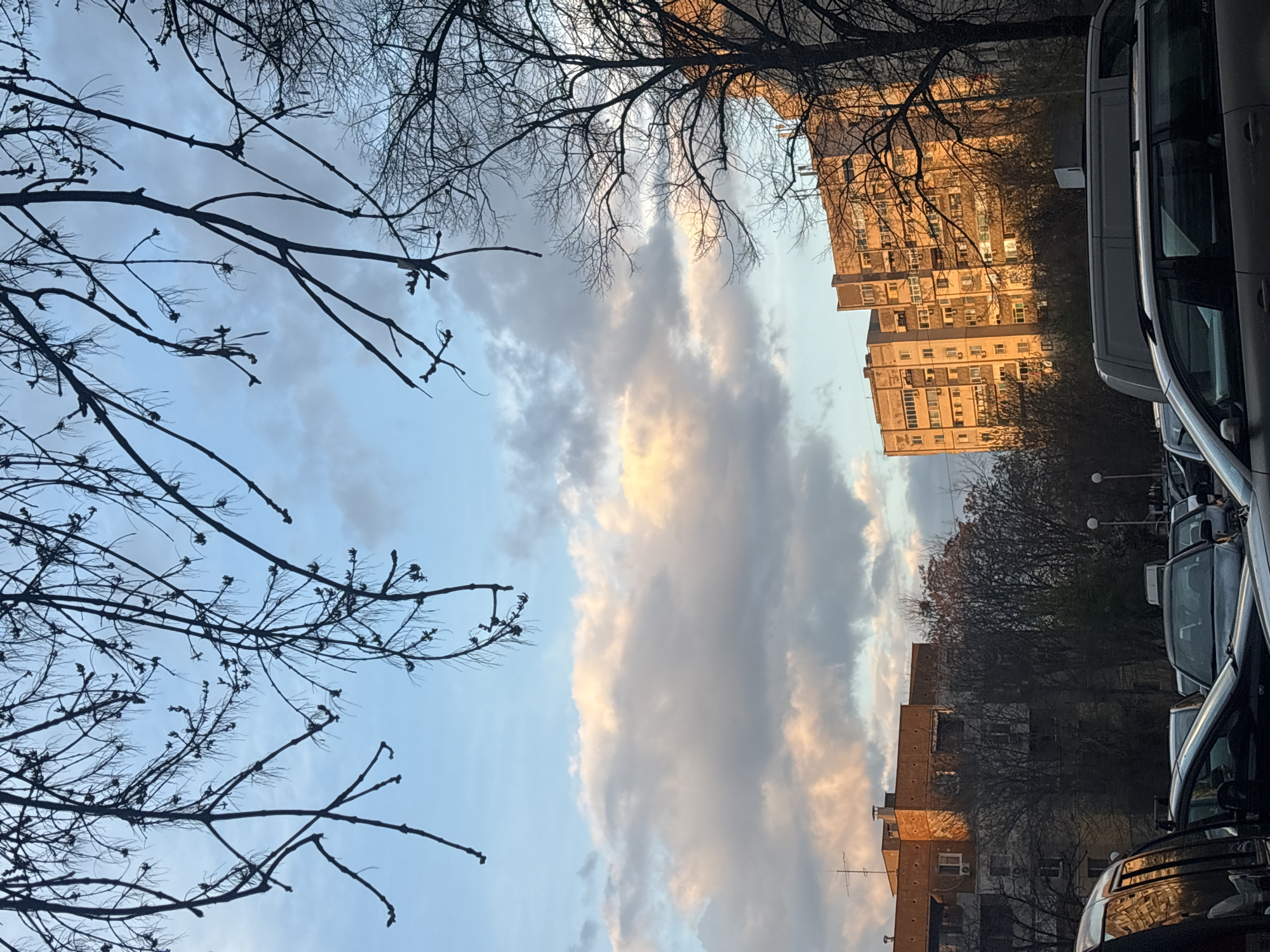 The image depicts a view of the sky and surrounding buildings in Plovdiv, Bulgaria, taken from a street-level perspective. Bare tree branches are visible in the foreground, framing the scene on both sides. The sky is a mix of blue and grey, with prominent clouds illuminated by the setting sun. In the background, there are several apartment buildings of medium height. Cars are parked on the street on the right side. The image is slightly rotated, with the horizon at an angle. The light suggests it is either early morning or late afternoon. No people are directly visible in the frame.
