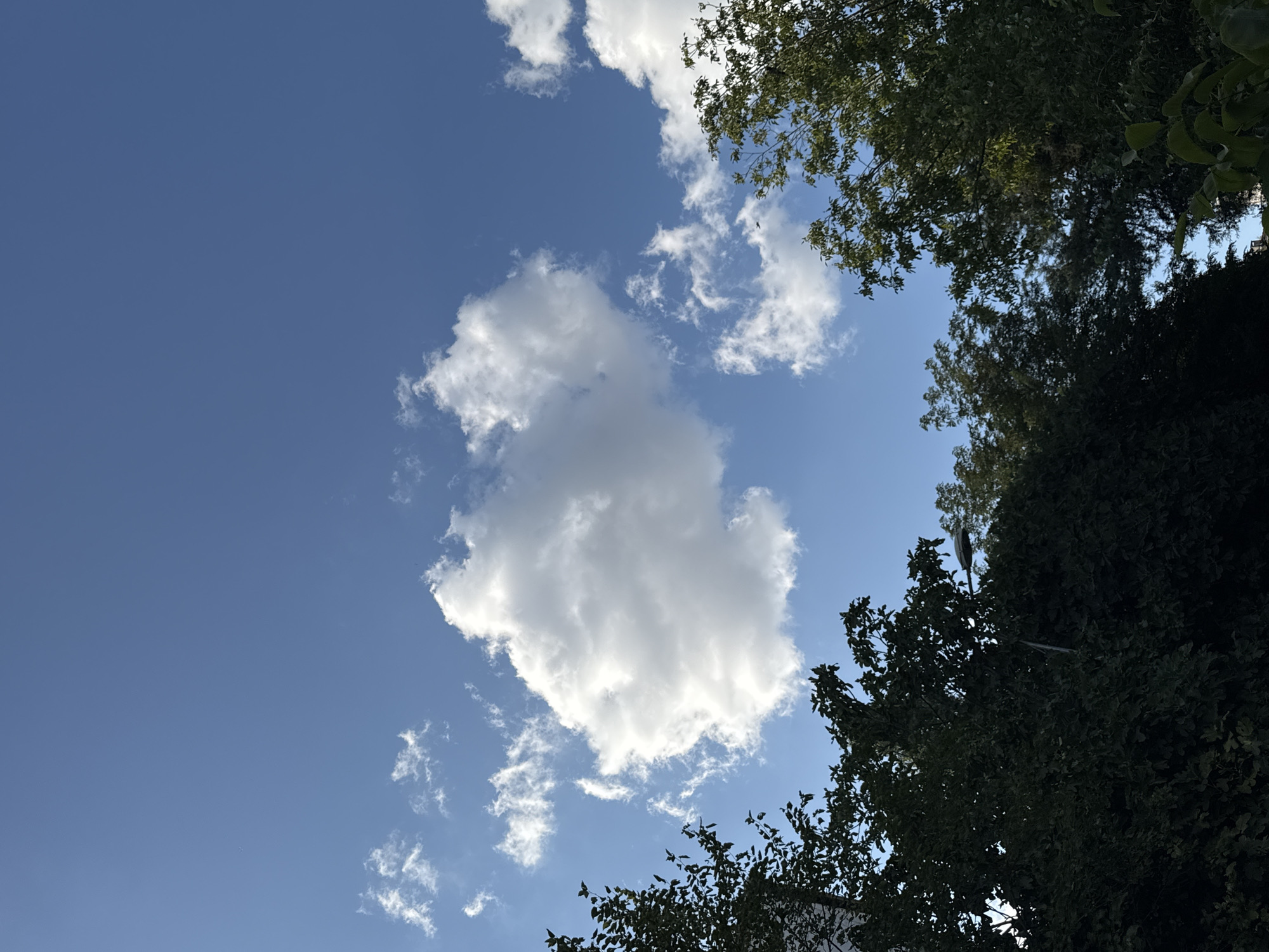 The image depicts a clear blue sky with scattered white cumulus clouds. In the foreground, lush green trees with dense foliage obscure the lower portion of the frame. A streetlamp is partially visible amidst the trees on the left side, and on the right, the upper branches of another tree reach towards the sky. The scene appears to be an outdoor setting, possibly a park or a residential area, in Gungoren, Turkey, given the context. There are no people or animals visible in the frame, and no discernible actions or interactions are taking place. The overall impression is one of a bright, sunny day.