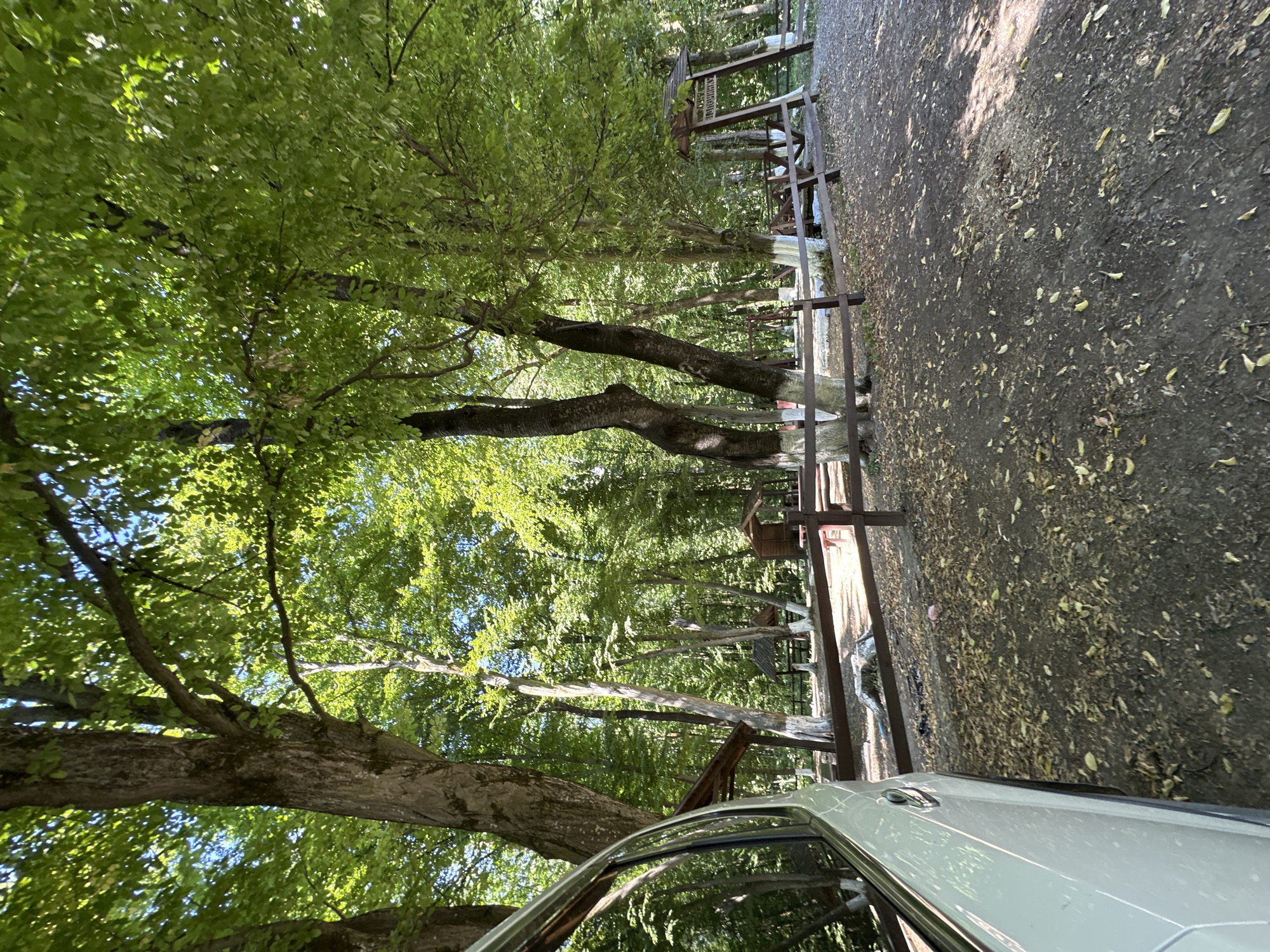 A white vehicle is parked on a dirt path in a wooded area. The path is covered with fallen leaves. In the background, there are several trees with green foliage. A wooden fence runs horizontally across the scene, separating the path from a picnic area. The picnic area contains wooden gazebos, picnic tables, and benches. The overall impression is of a recreational area in a forest.