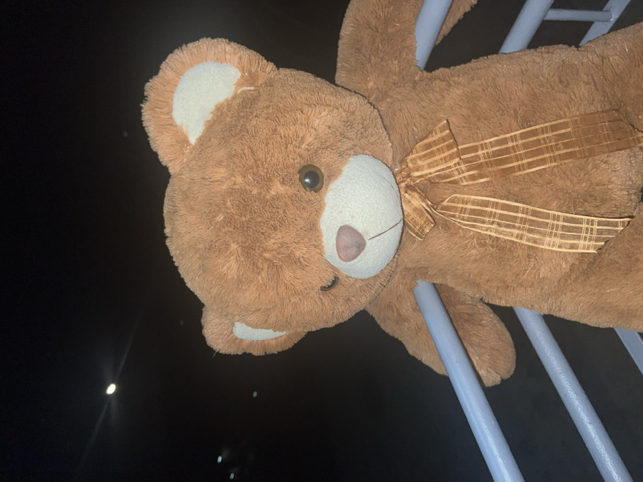 A large, brown plush teddy bear is positioned upright against a light blue-grey metal railing, its arms resting over the top horizontal bar, in Sedlartsi, Bulgaria. The bear features dark brown, oval eyes, a pinkish-brown triangular nose, and lighter tan fur on its muzzle and inner ears. A golden-brown plaid ribbon is tied in a bow at its neck. The scene is illuminated by ambient light against a dark night sky, which displays a crescent moon in the upper left. Faint, distant artificial lights are visible in the lower-left background.